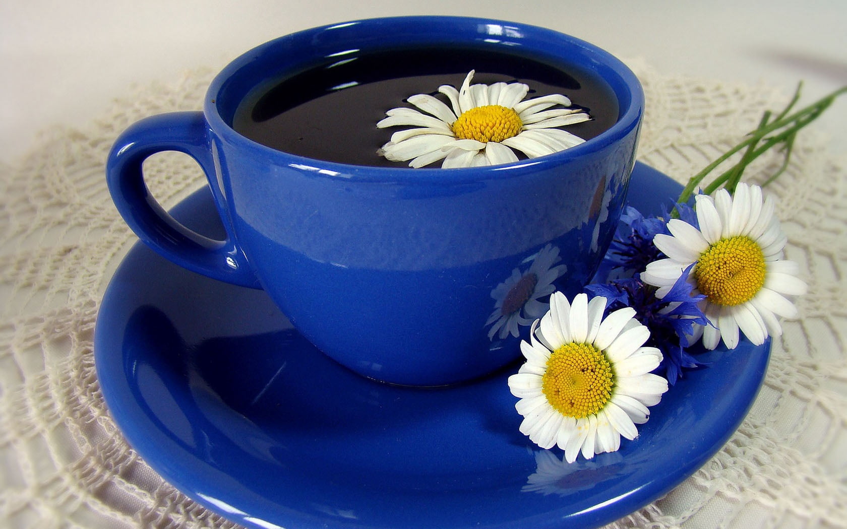 flower, mug, chamomile, close-up, tea - Hot Drink, purple, white, food and drink, plant, backgrounds, table, food, tea, flowers, nature, vulnerability, HD Wallpaper