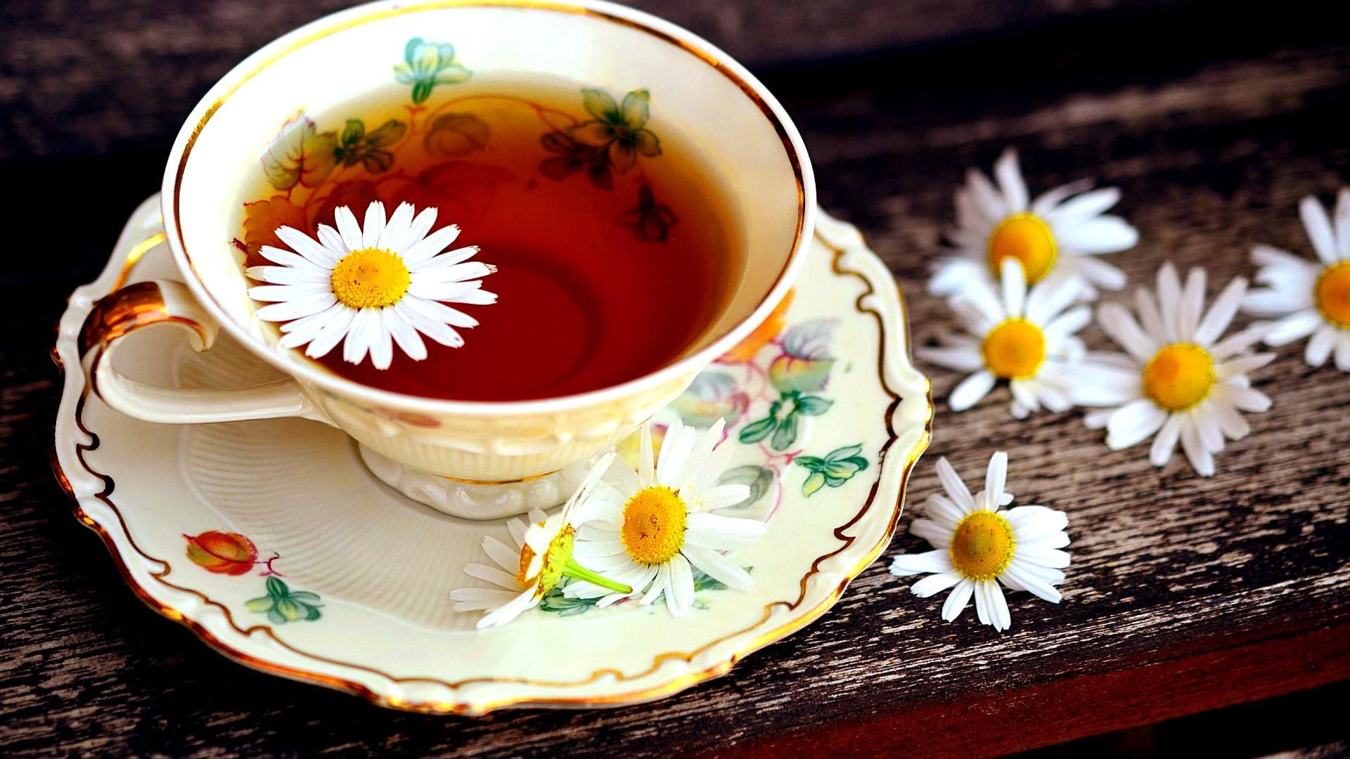 chamomile, food, cup, 1080P, hot, tea, home, porcelain, daisies, HD Wallpaper