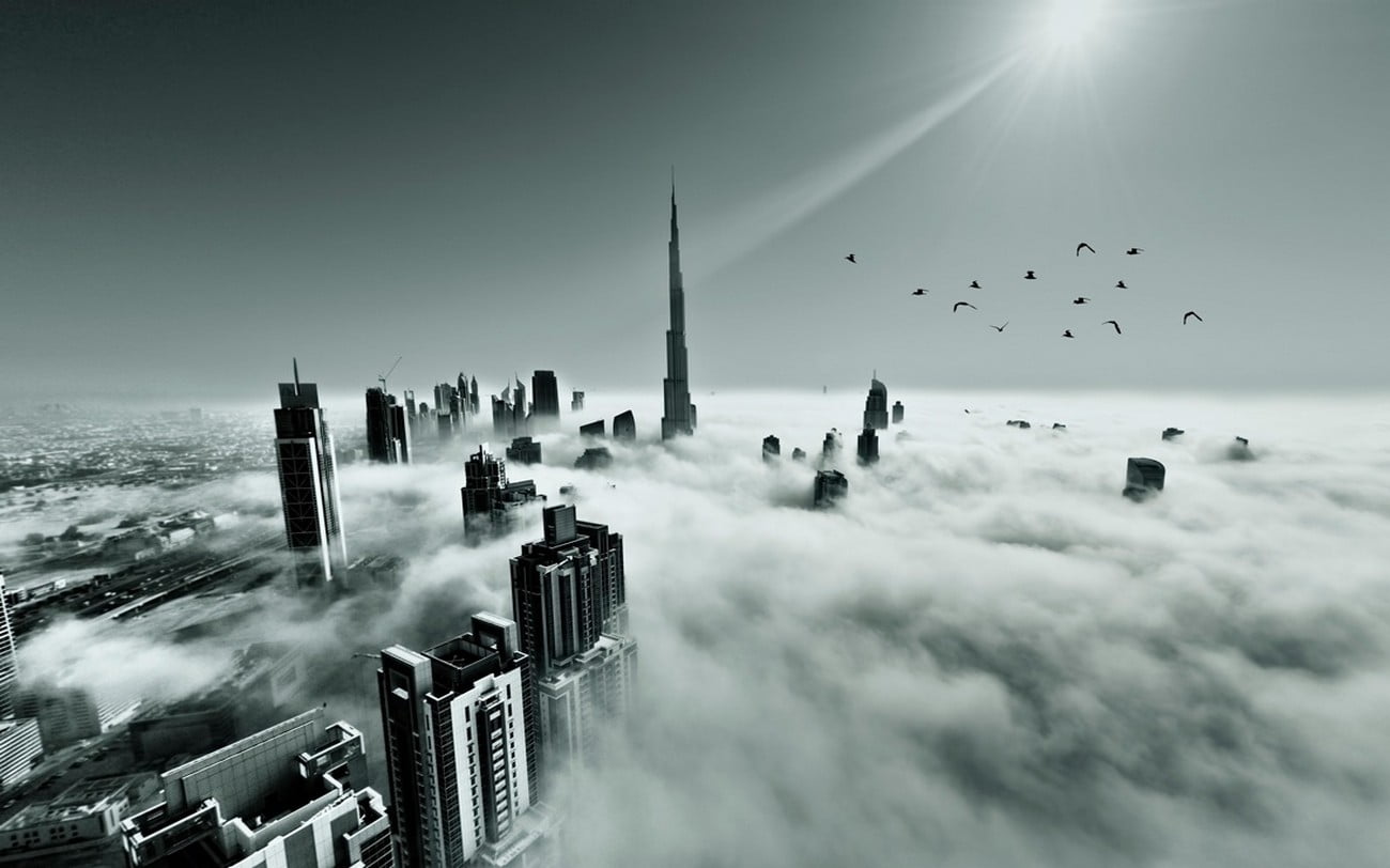 financial district, animal themes, animals in the wild, flock of birds, animal wildlife, sun rays, digital composite, greyscale, building, vertebrate, built structure, HD Wallpaper