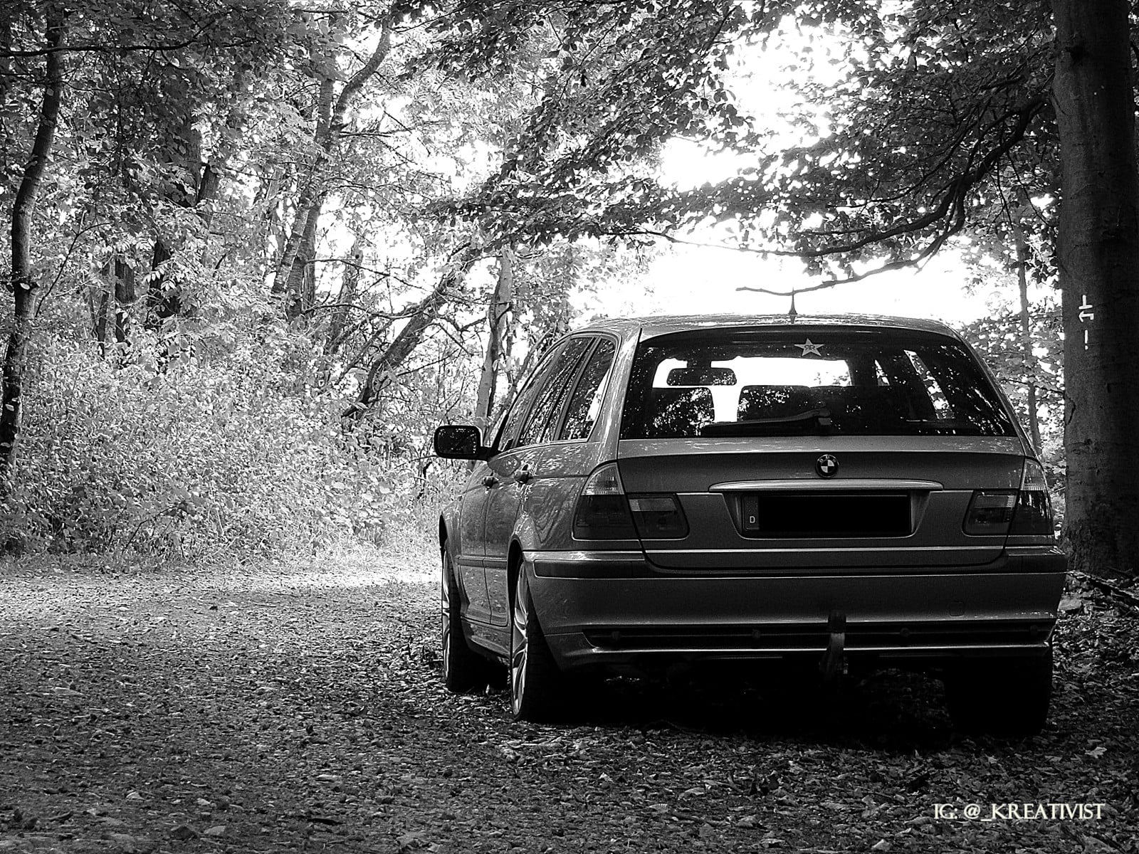 BMW, forest, photo, car, greyscale, transportation, plant, real people, travel, day, tree, sunlight, architecture, stationary, monochrome, men, 720P, land, HD Wallpaper