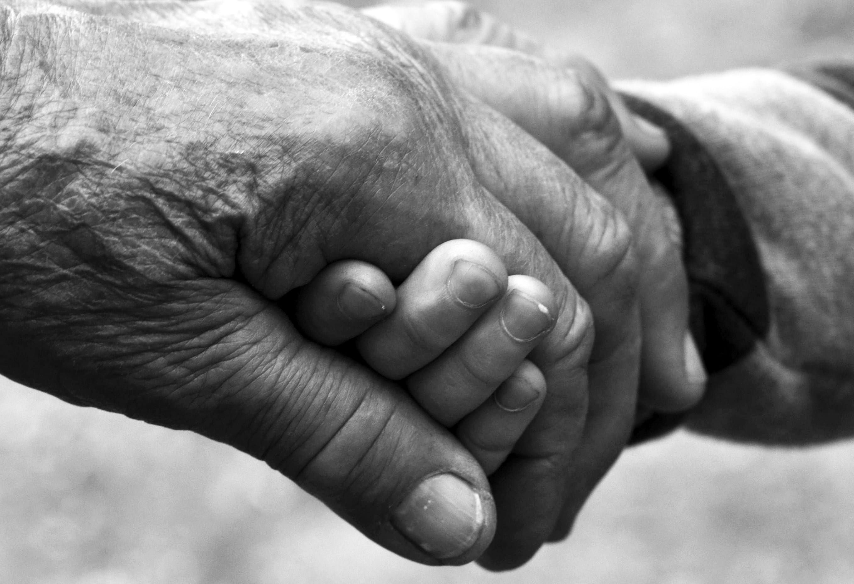 human foot, family, parent, childhood, hand, young, people, adult, photo, baby, grandmother, holding, close-up, emotion, human hand, care, man, hands, 2K, HD Wallpaper