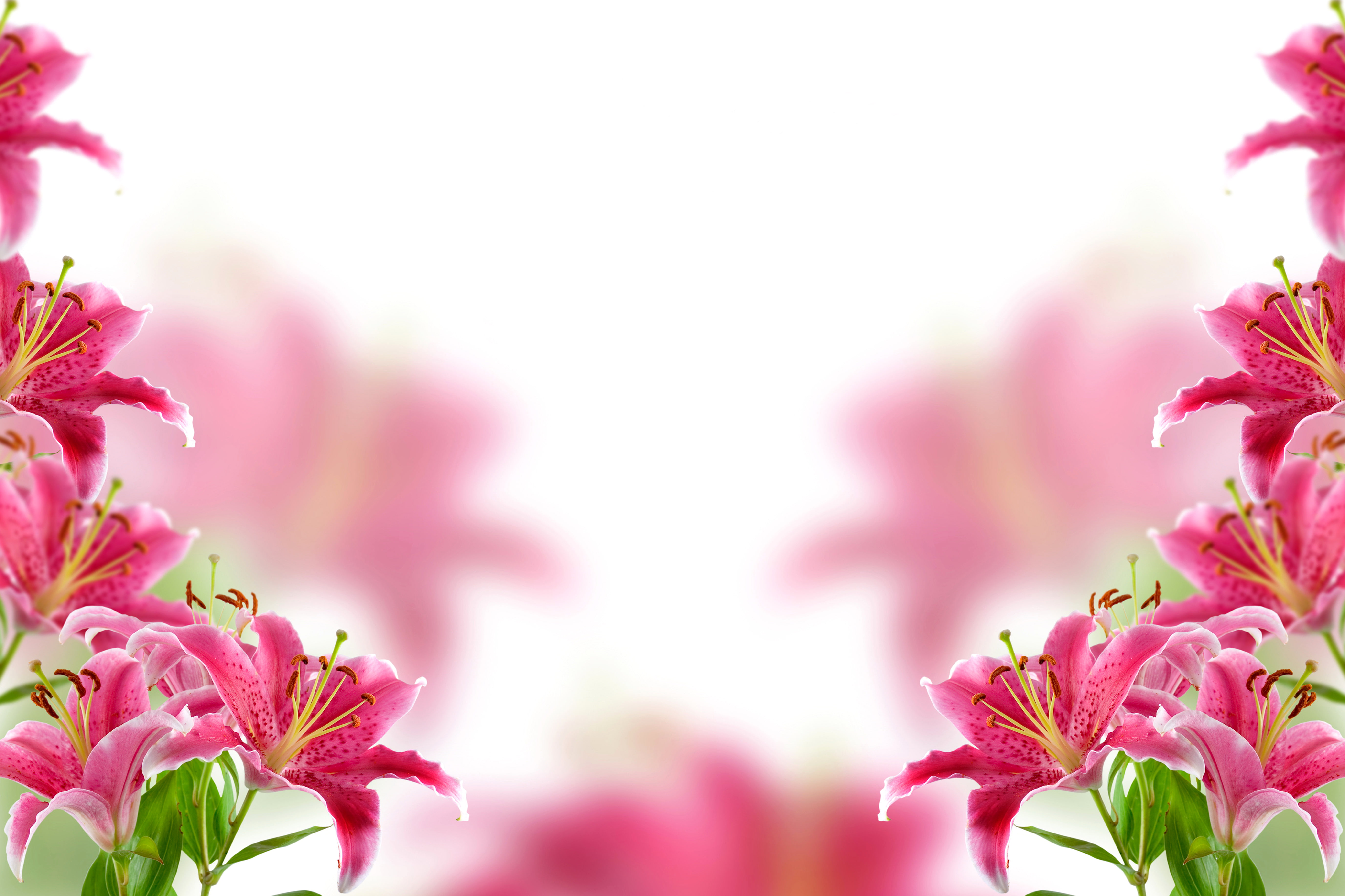 season, yellow, blossom, day, petal, summer, flower arrangement, formal Garden, defocused, fragility, purple, japan, flower Head, bouquet, pink Color, Lily, HD Wallpaper
