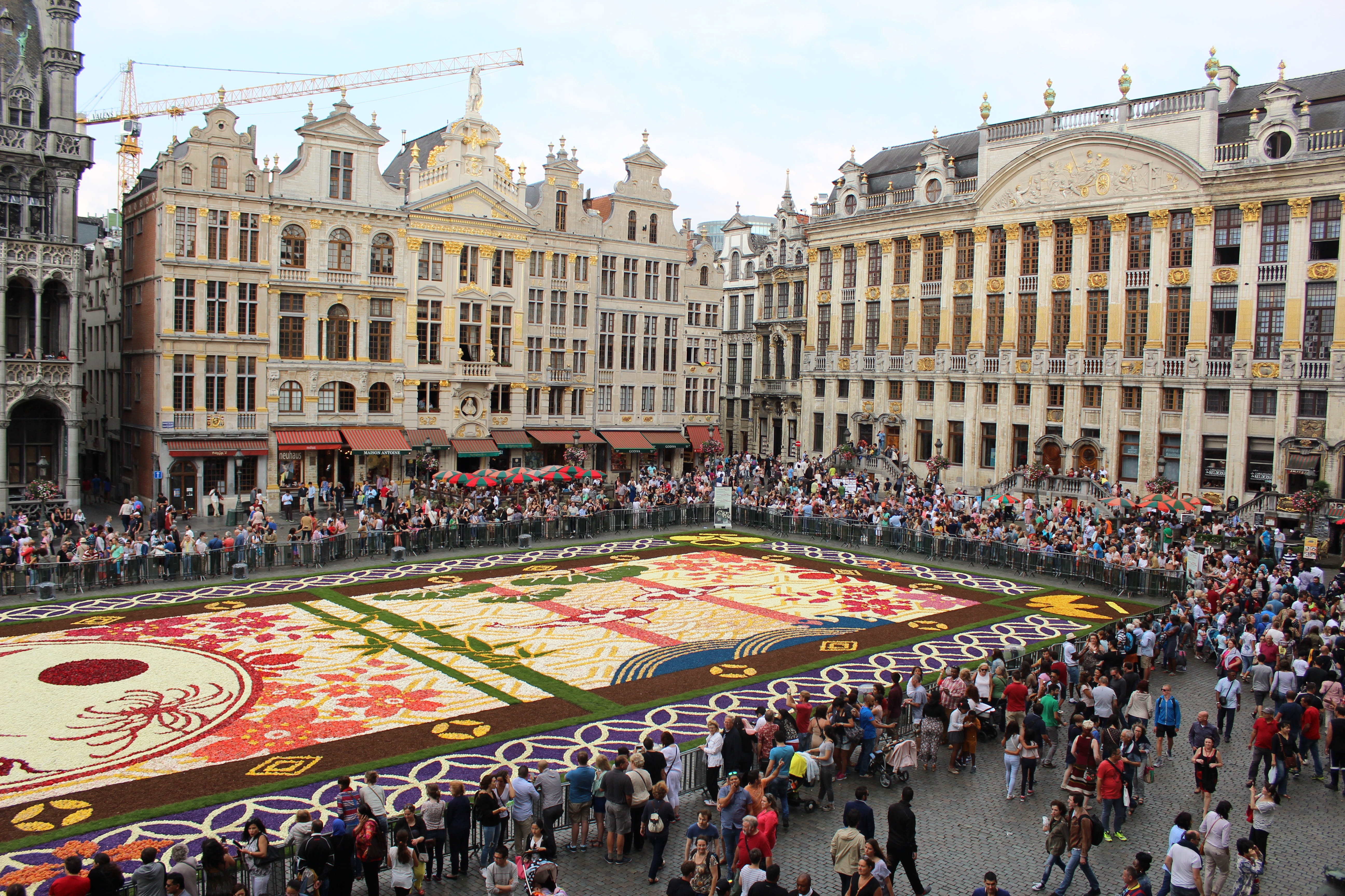 building, men, europe, real people, group of people, flower carpet, travel destinations, women, crowd, day, architecture, tourism, brussels, city, flowers, HD Wallpaper