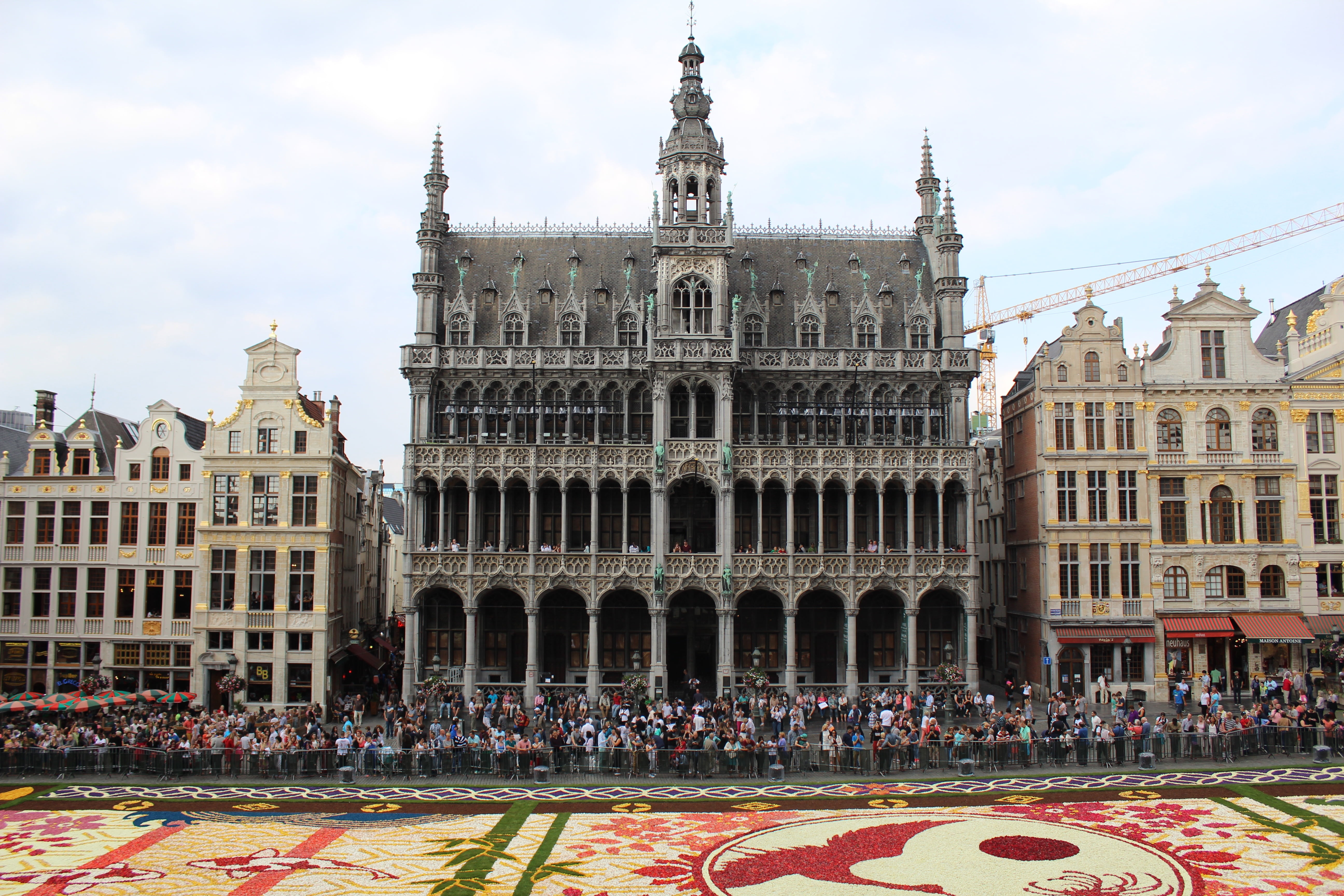 flowers, city, 5K, begonias, building exterior, europe, incidental people, art and craft, the past, day, brussels, nature, travel, built structure, architecture, HD Wallpaper