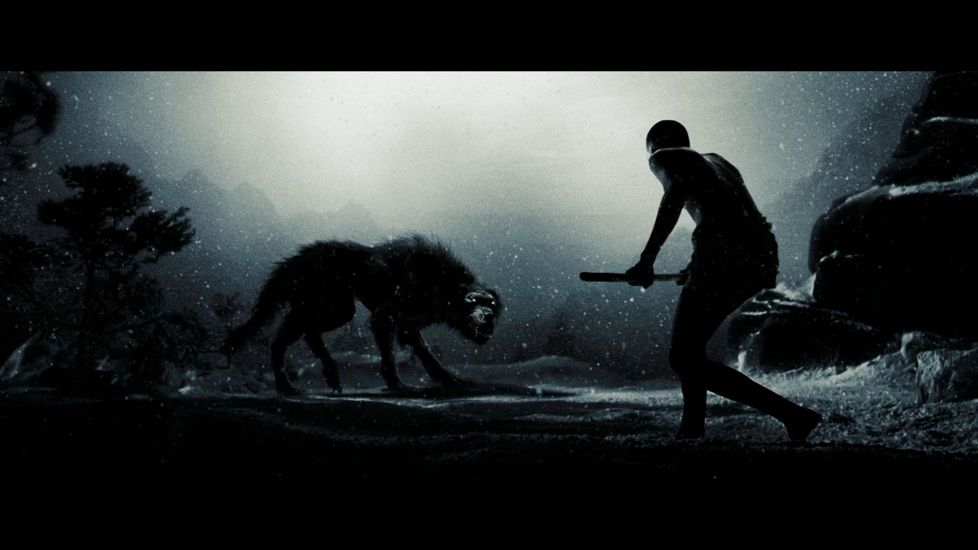 sport, underwater, 1080P, animal wildlife, sea, motion, full length, auto post production filter, leisure activity, silhouette, movies, adventure, outdoors, HD Wallpaper