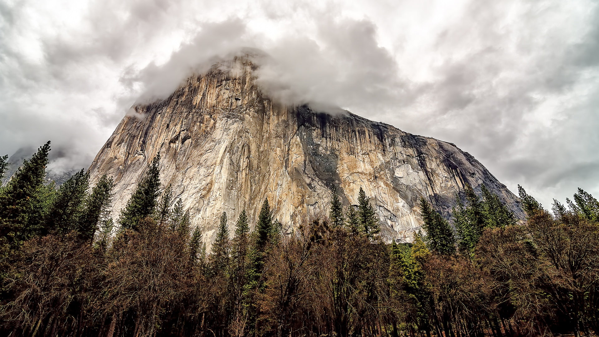 Rock, Clouds, National, near, black, USA, Trees, Yosemite, Park, Mountain, 1080P, California, white, HD Wallpaper