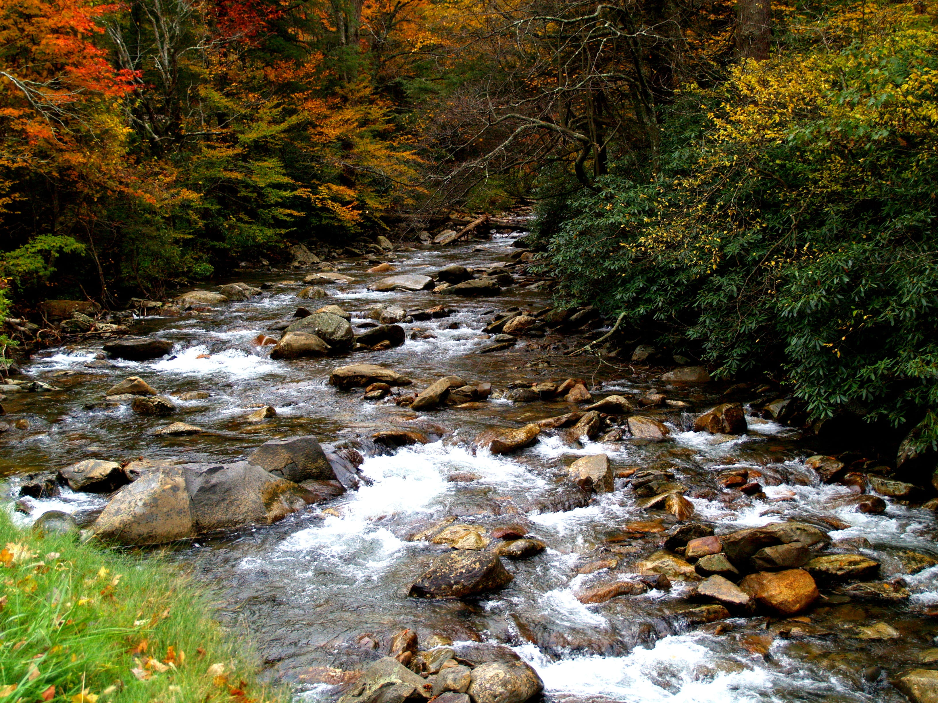 rocks, near, scenics - nature, nature, smokies, park, solid, beauty in nature, wilderness, flowing, environment, motion, water, tree, valley, riverbed, HD Wallpaper