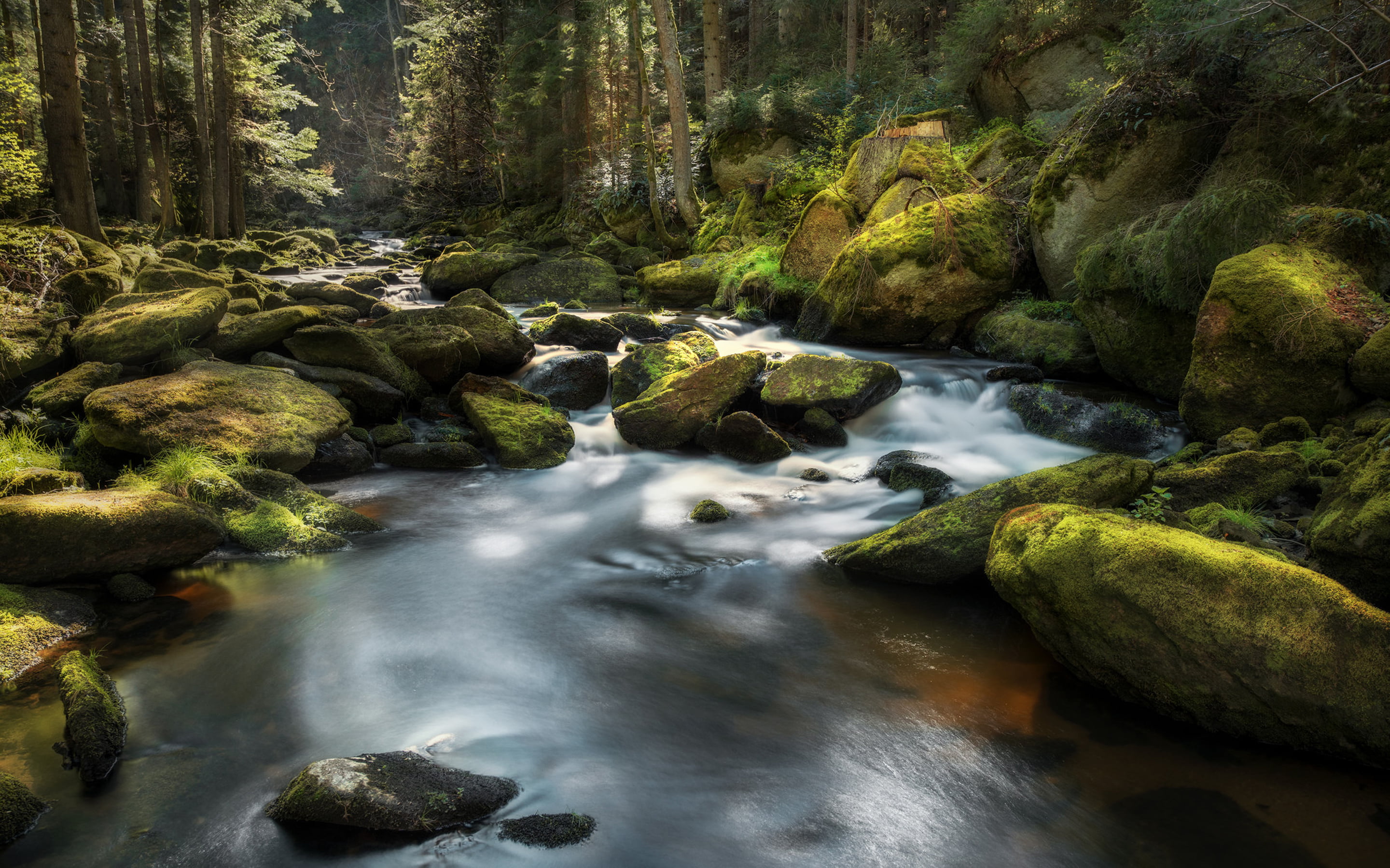 plant, solid, river, water, stream - flowing water, land, mountain, blurred motion, kamp, flowing water, reaches, outdoors, austria, rock - object, 2K, HD Wallpaper