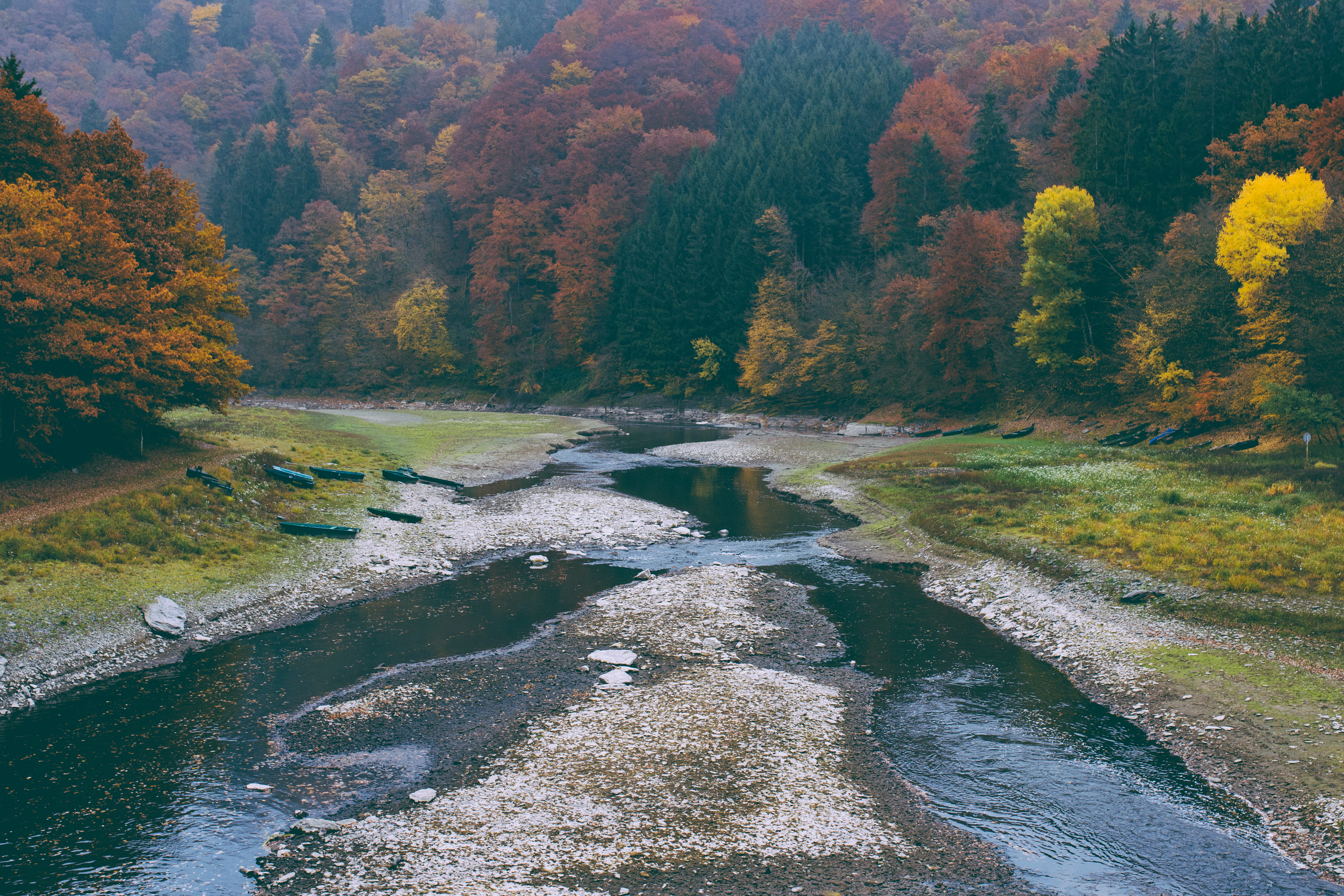 fog, growth, flowing, pont misère, scenics - nature, non-urban scene, boat, trees, beauty in nature, stream - flowing water, forest, europe, luxembourg, HD Wallpaper