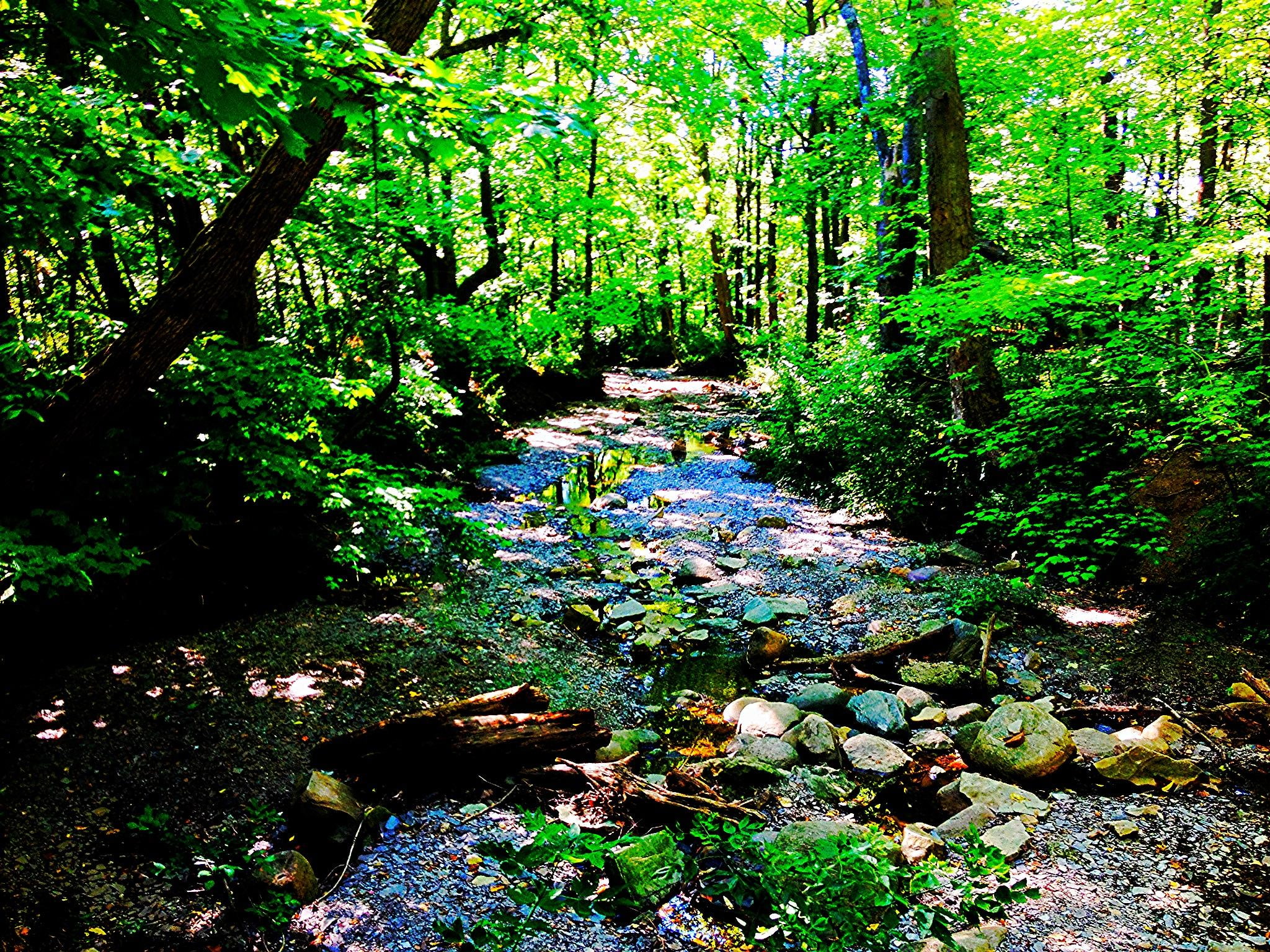 nature and landscapes, highbanks, creek, ohio, riverbed, 1080P, HD Wallpaper