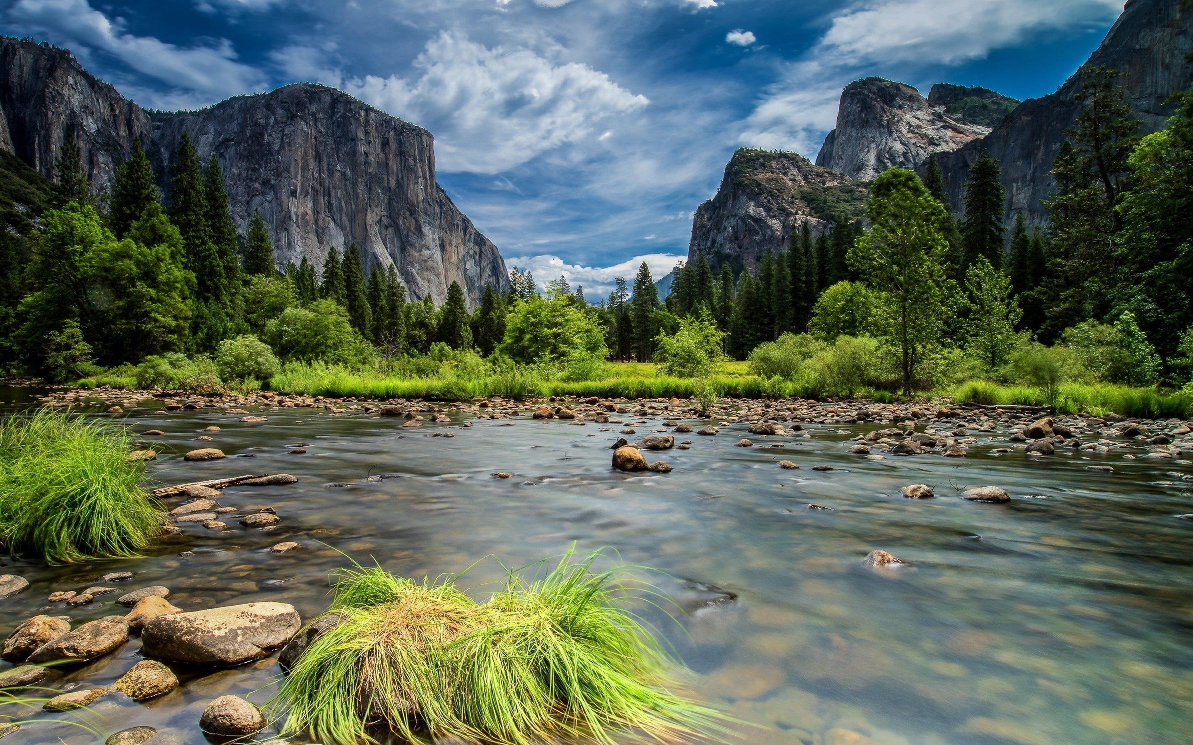 tree, formation, tranquility, riverbed, no people, cloud - sky, green, national, grass, park, beauty in nature, river, rock, 4K, yosemite, green color, HD Wallpaper