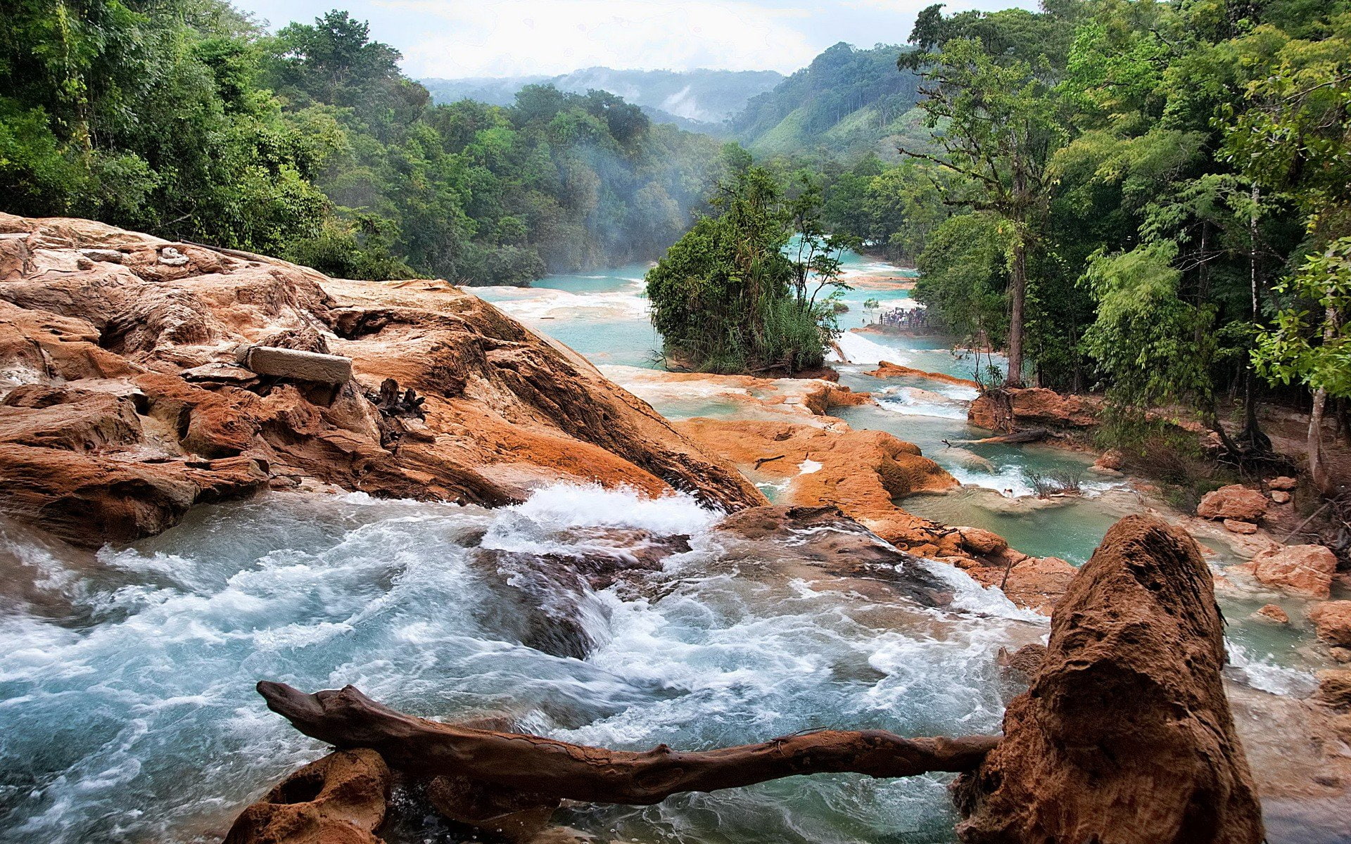 trees, river, beauty, cascade, forest, thick, natural, 1080P, green, rocky, jungle, riverbed, desktop, HD Wallpaper