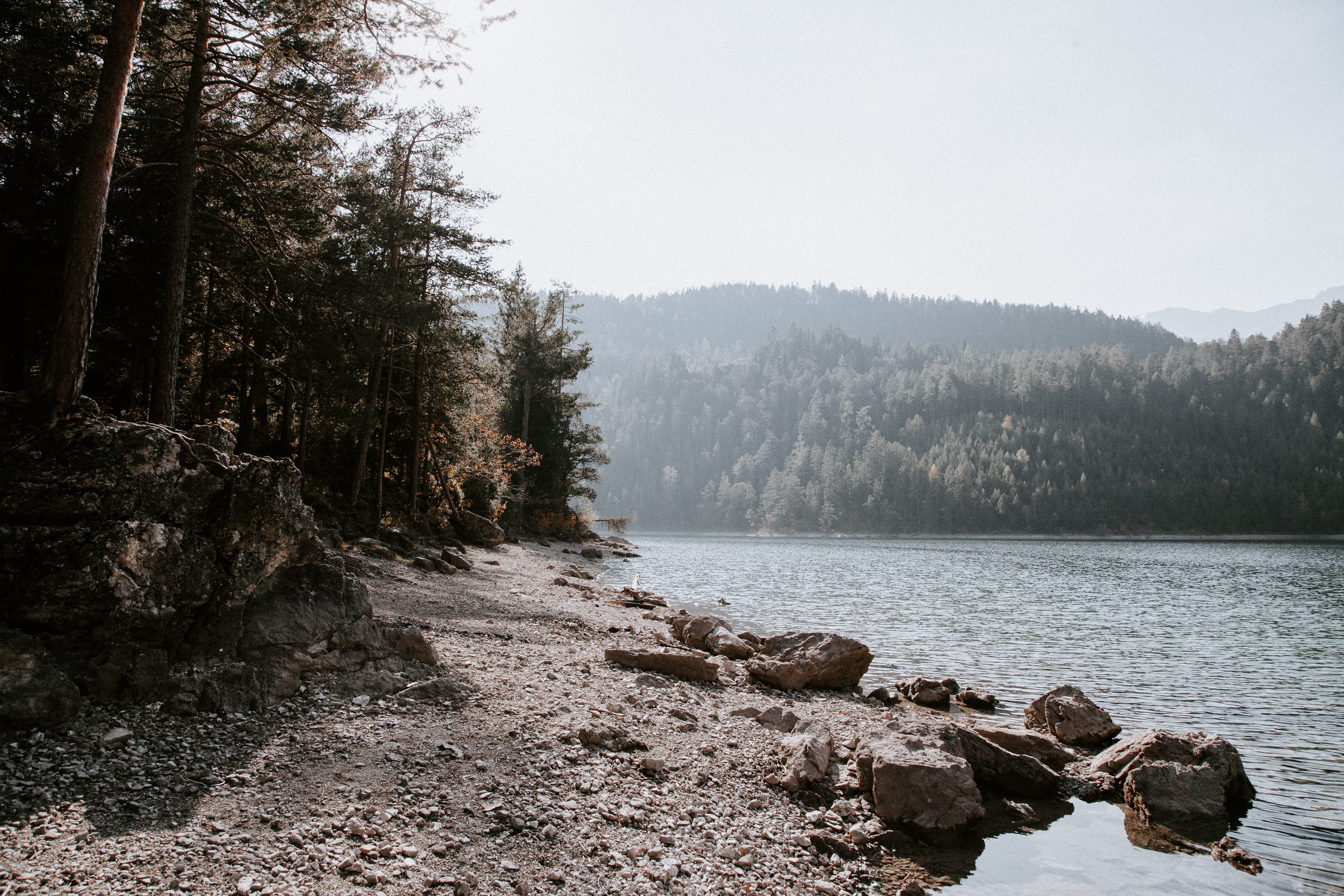lake, plant, riverbed, pine tree, ground, coniferous tree, rubble, road, solid, pine woodland, no people, austria, rock - object, tree, exploring, non-urban scene, HD Wallpaper