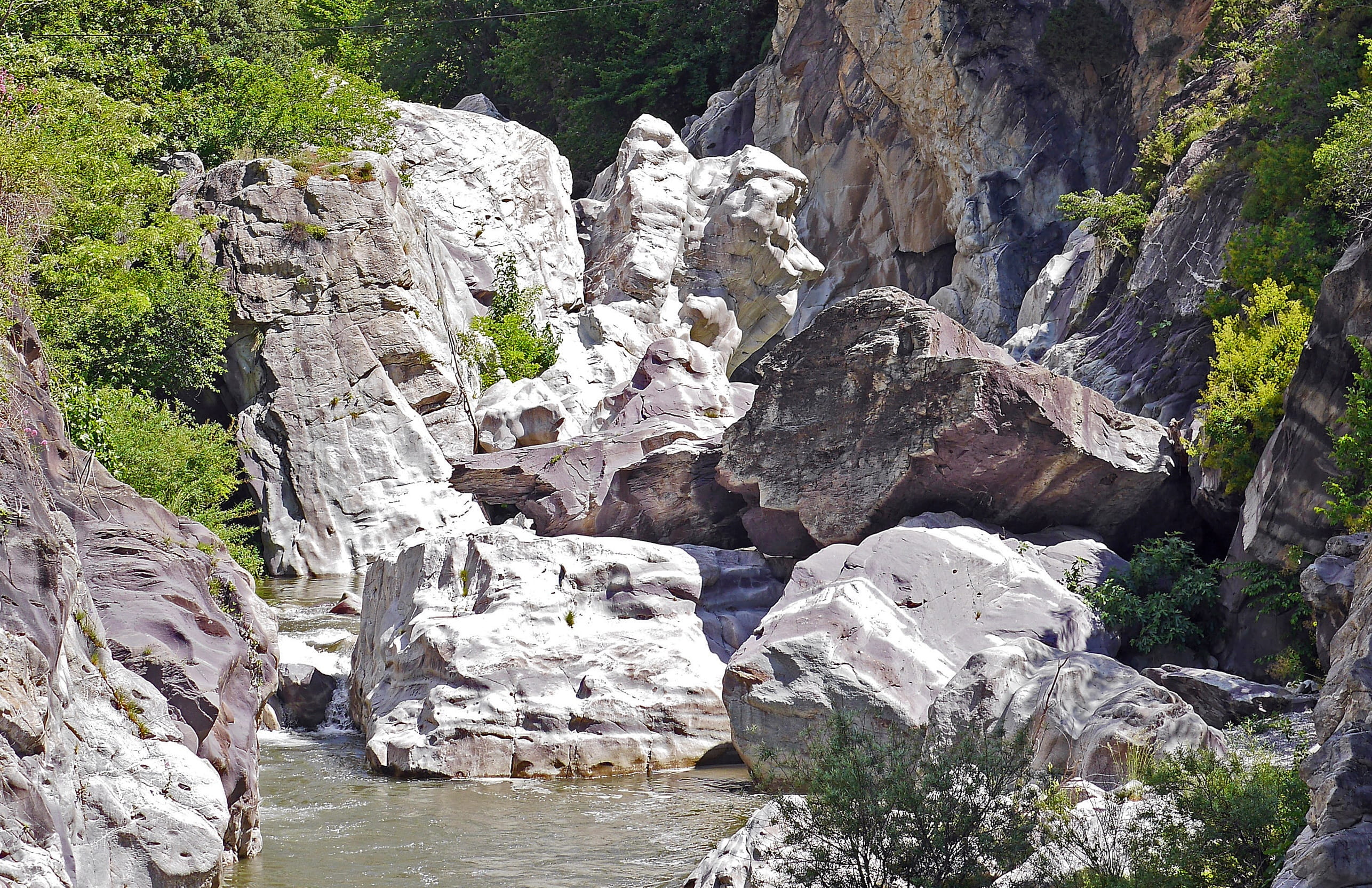 tree, solid, land, alpes maritimes, eroded, formation, eng, rock formation, riverbed, mountain river, south of france, rock, washed, white water, nature, HD Wallpaper
