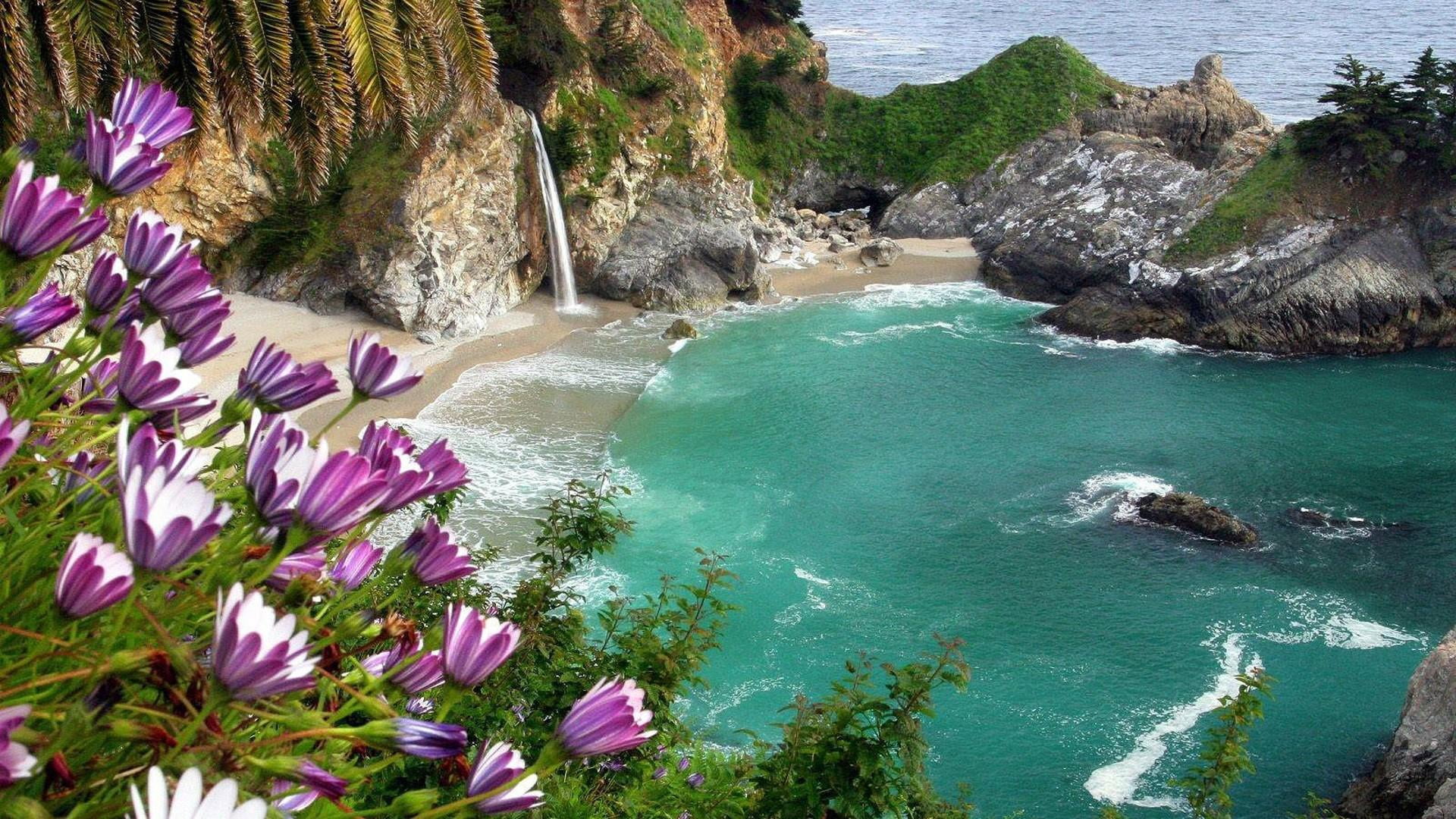 high angle view, big sur, plant, tranquility, rock - object, tree, flowering plant, beach, beauty in nature, state park, mcway falls, day, tropics, water, HD Wallpaper