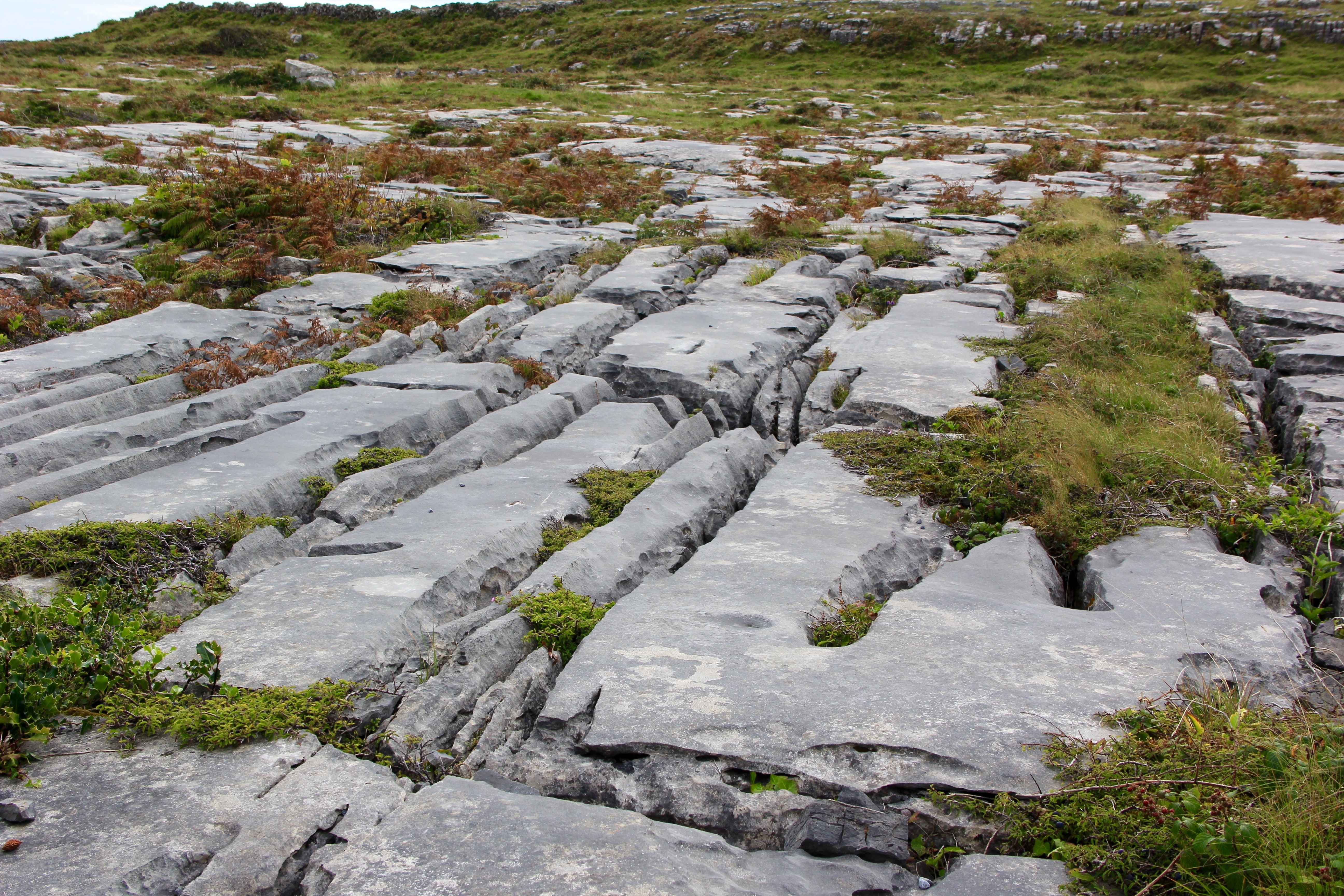 county, outdoors, scenics - nature, rock, ireland, the burren, landmark, cold temperature, tranquility, growth, no people, tranquil scene, day, high angle view, HD Wallpaper