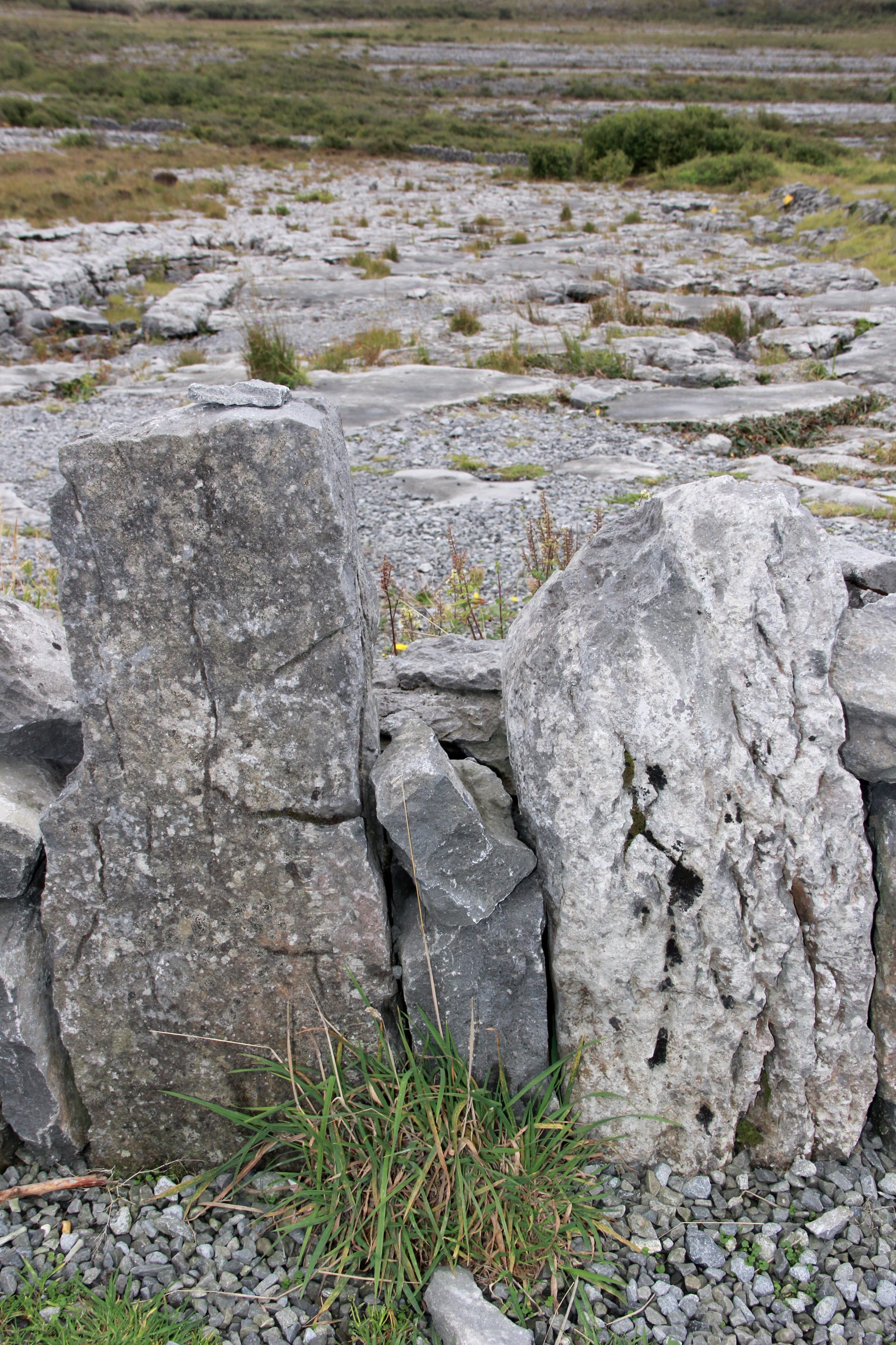 geology, plant, famous, rock - object, The Burren, textured, day, solid, Irish, Ireland, Burren, close-up, scenery, grass, clare, beauty in nature, environment, Phone HD Wallpaper