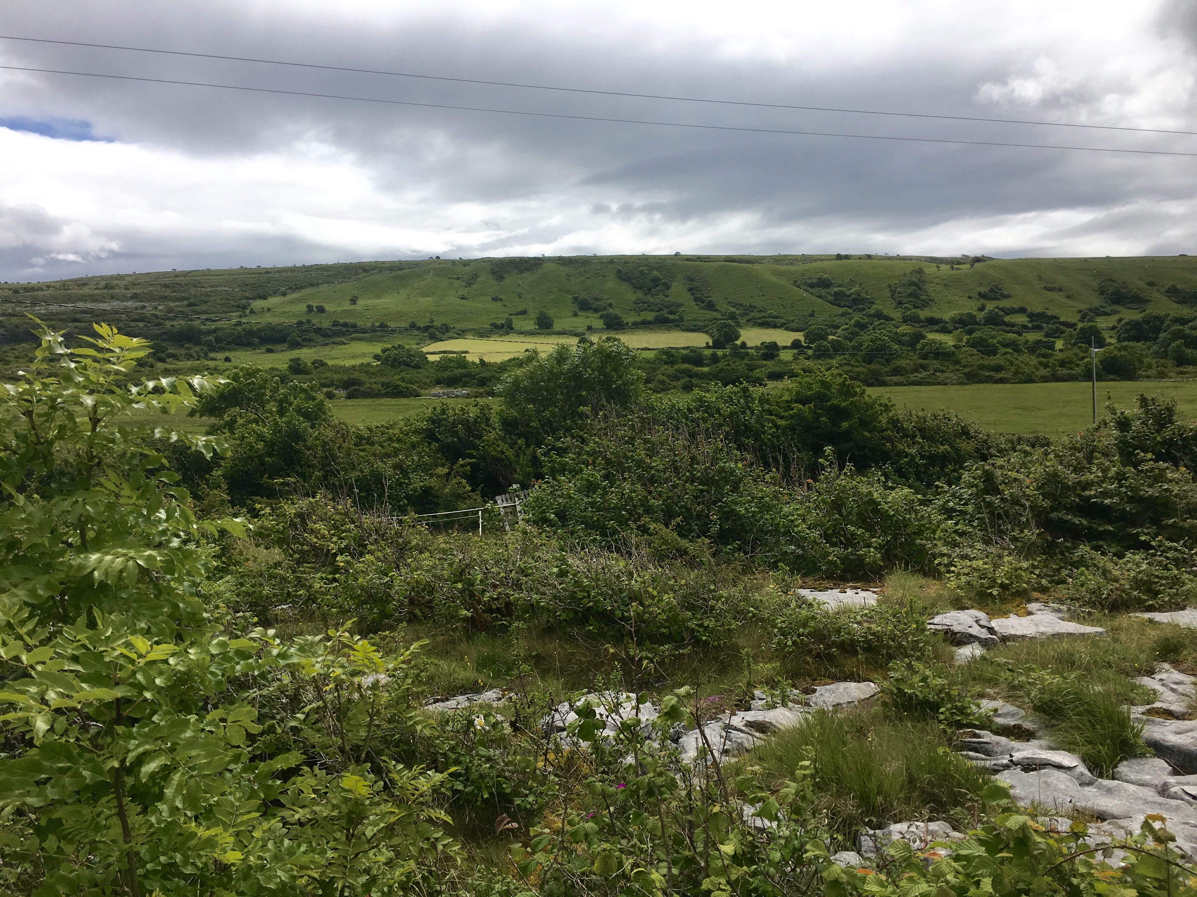 land, the burren, scenics - nature, sky, tree, 4K, beauty in nature, nature, field, growth, outdoors, environment, tranquility, plant, day, tranquil scene, HD Wallpaper