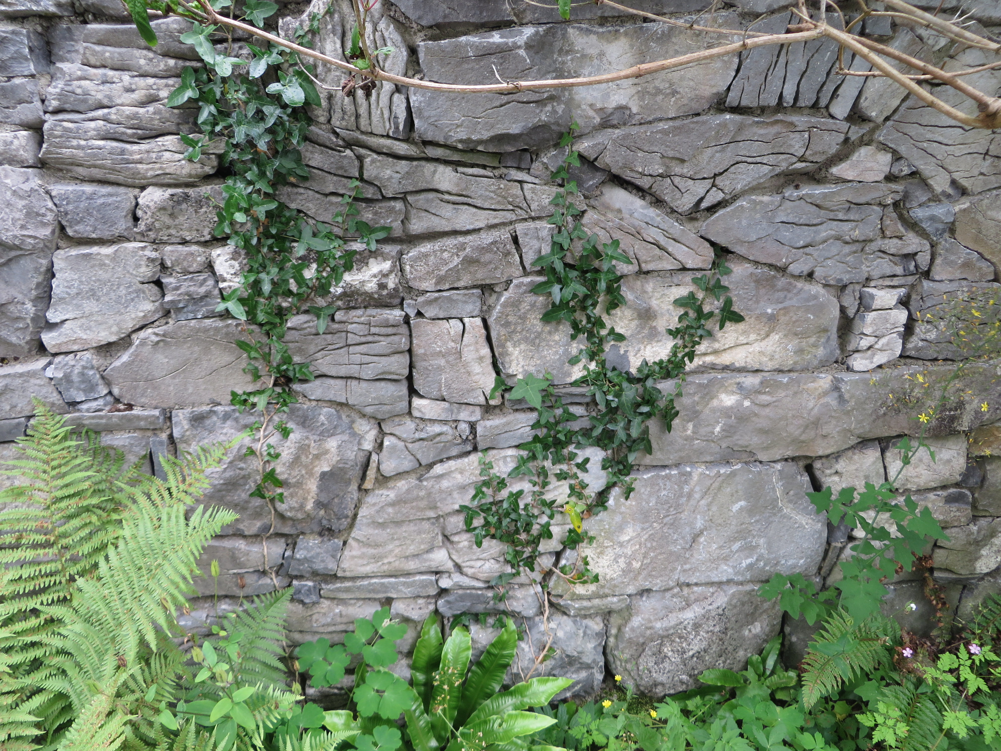 stone, rock - object, rock, full frame, ireland, textured, architecture, green color, plants, stones, stone wall, pattern, growth, wall - building feature, HD Wallpaper