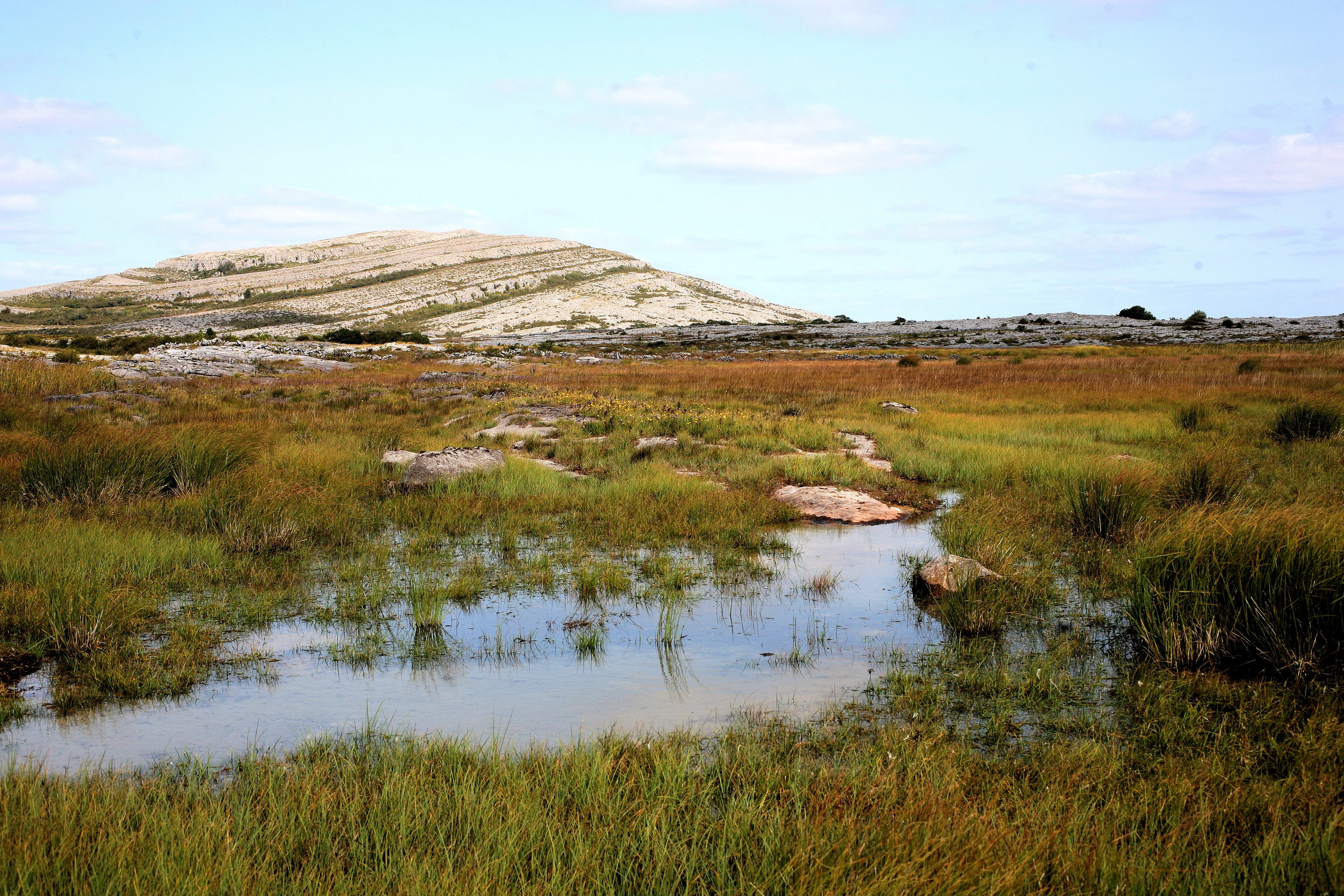 ireland, flora, landscape, wetland, karst, plant, karst-landscape, wilderness, bare, 4K, rural Scene, sky, dramatic, lake, National Park, land, tranquility, HD Wallpaper