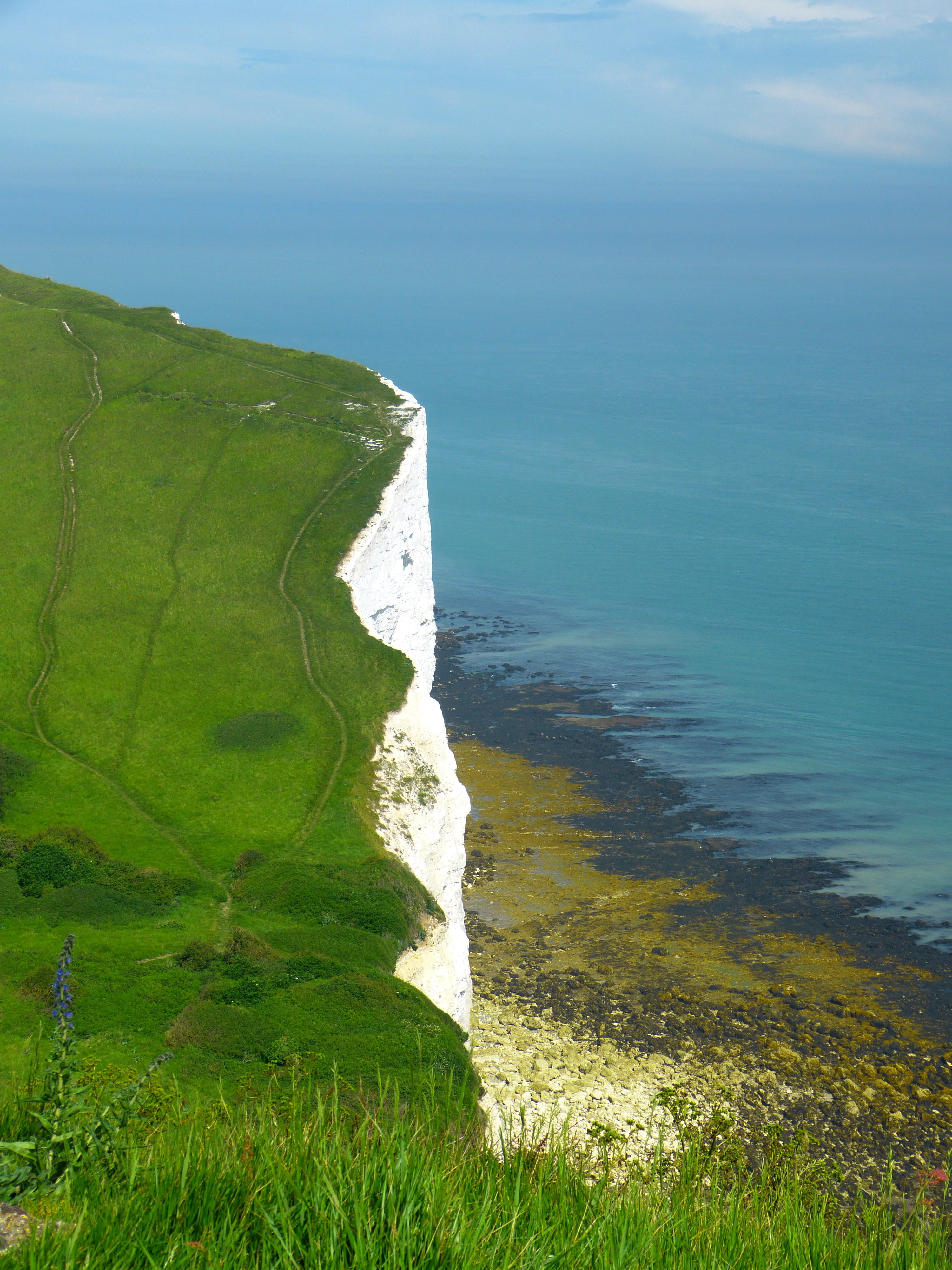 way, green, beauty in nature, idyllic, plant, water, cliffs, outdoors, dover, england, non-urban scene, demolition edge, 4K, tranquil scene, tranquility, Phone HD Wallpaper