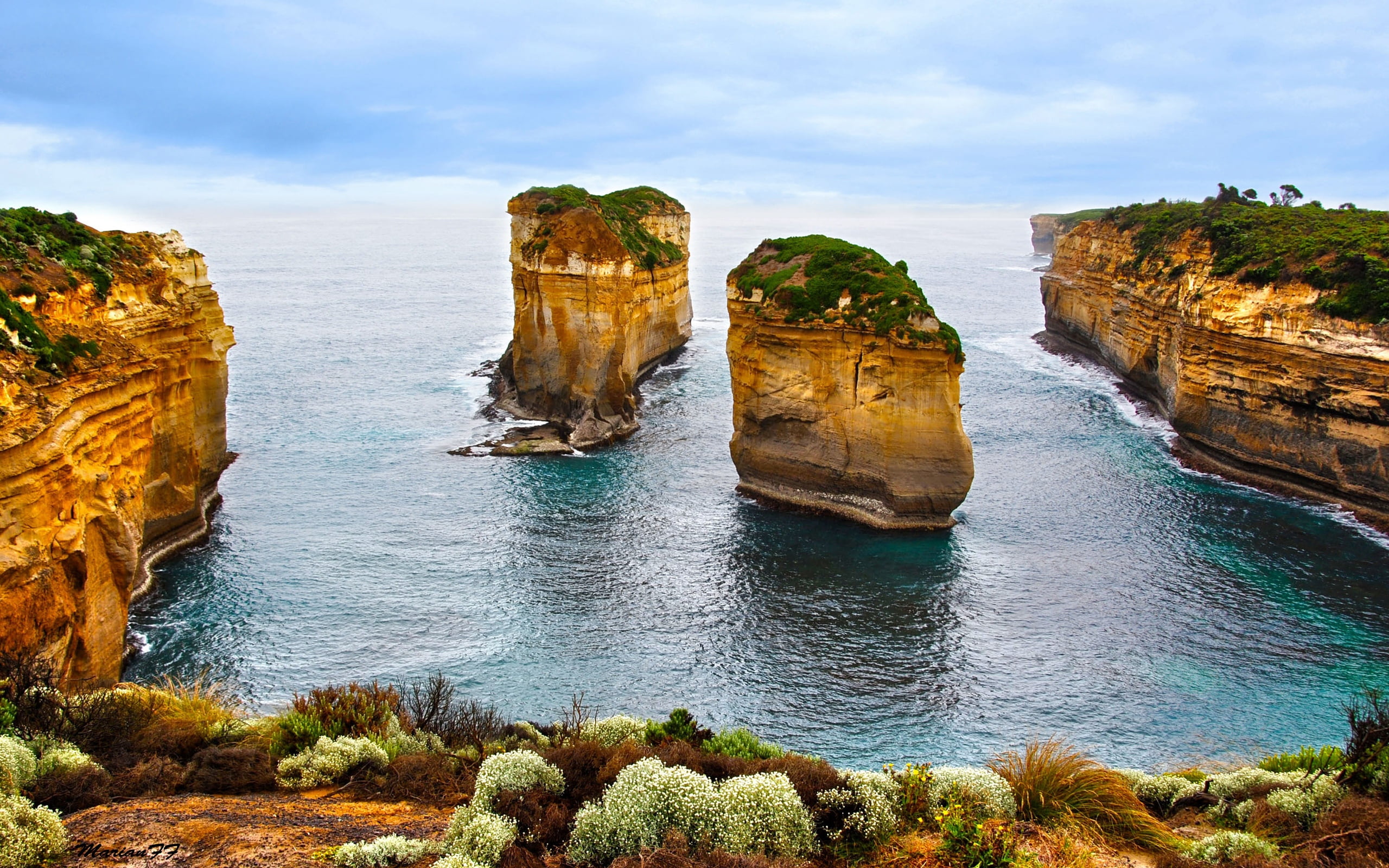 bushes, victoria - Australia, great Ocean Road, etretat, portugal, algarve, no People, seascape, port Campbell National Park, beach, formation, land, twelve Apostles Sea Rocks, HD Wallpaper