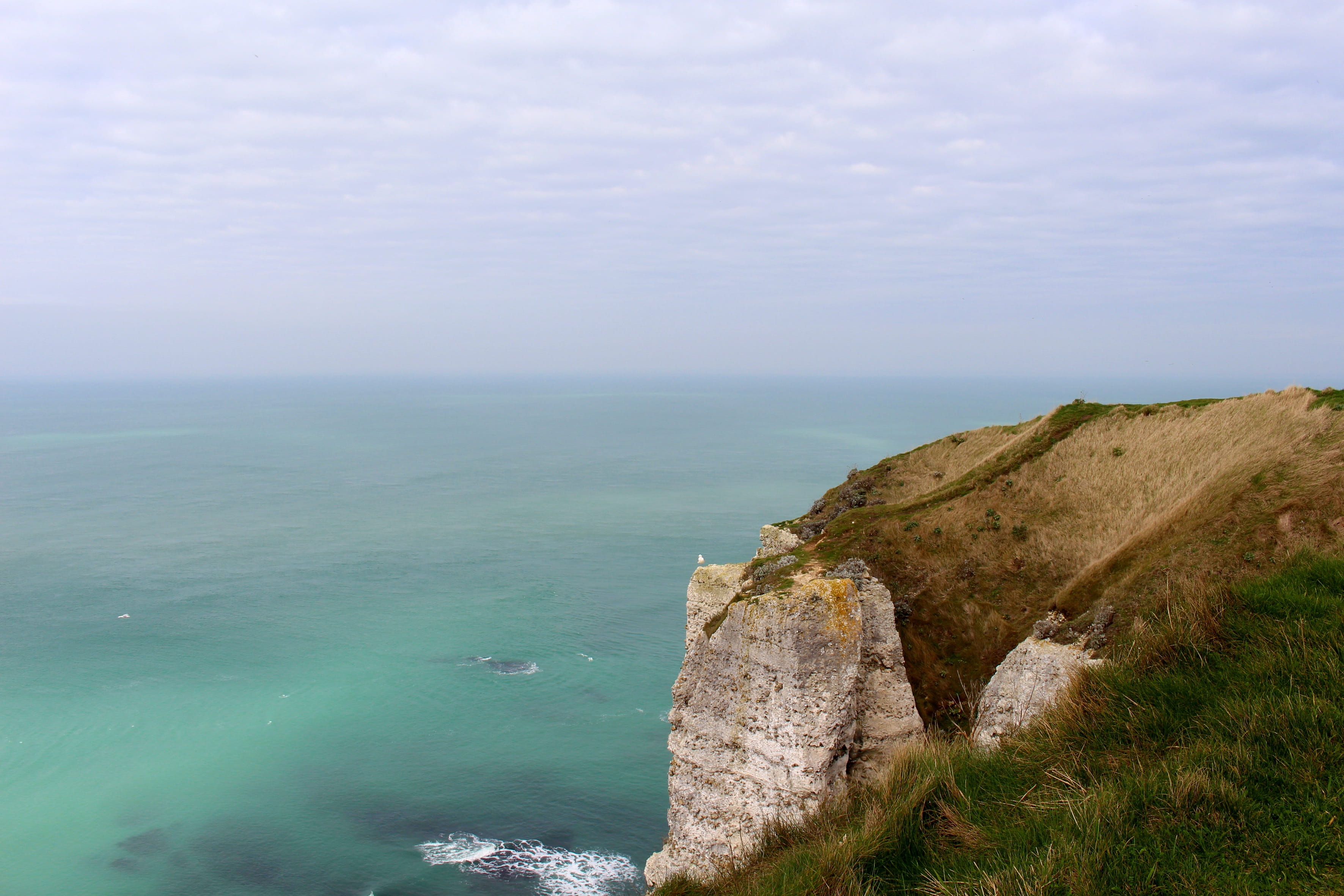 idyllic, travel, nature, view, day, scenic, no people, rain, force of nature, blue, bird, war, coast, steep, White Cliffs, clouds, landing, horizon over water, HD Wallpaper