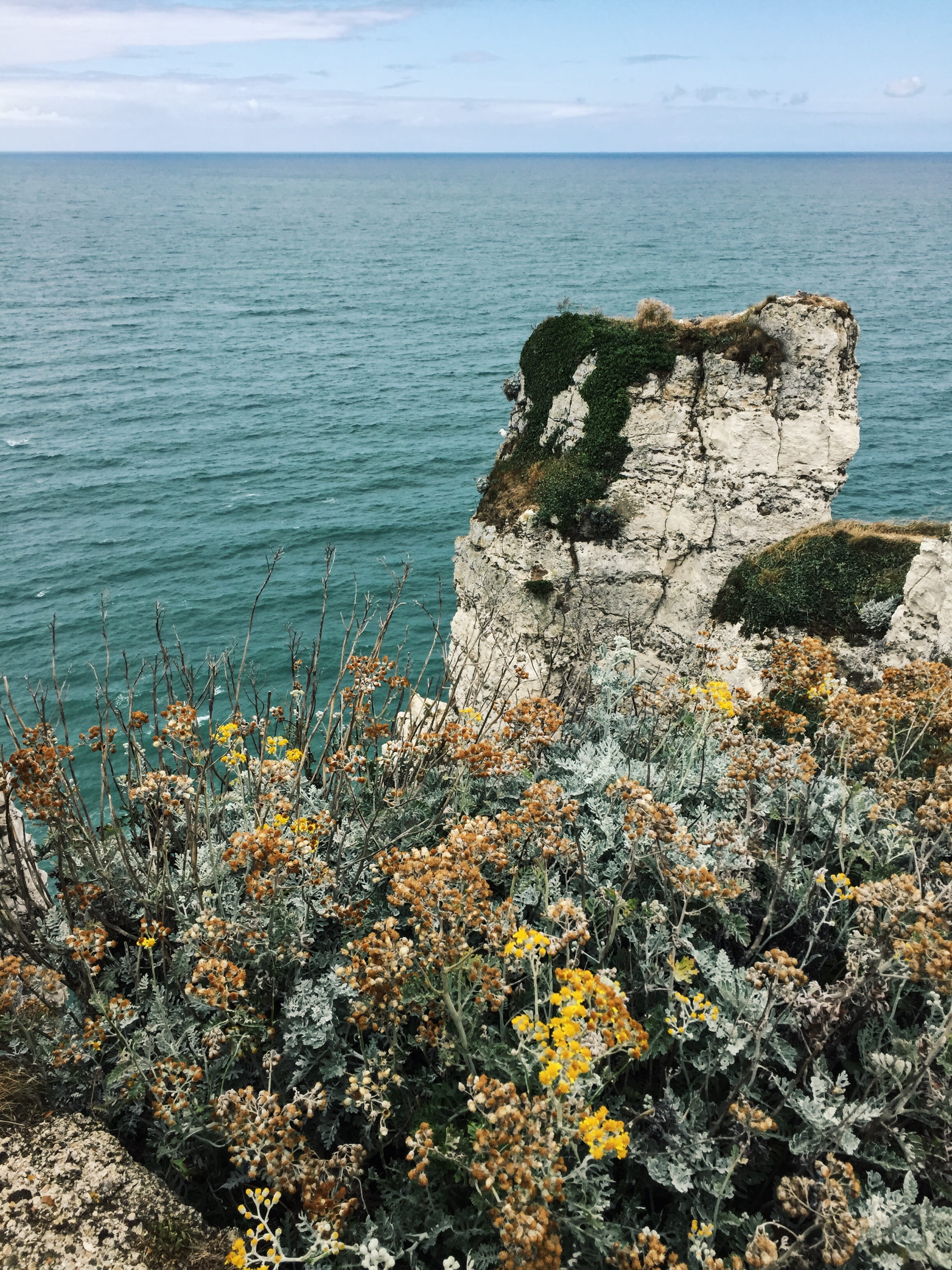 blue, tranquility, rock - object, france, horizon, rock, tranquil scene, day, plant, etretat, non-urban scene, idyllic, scenics - nature, beach, франция, Phone HD Wallpaper