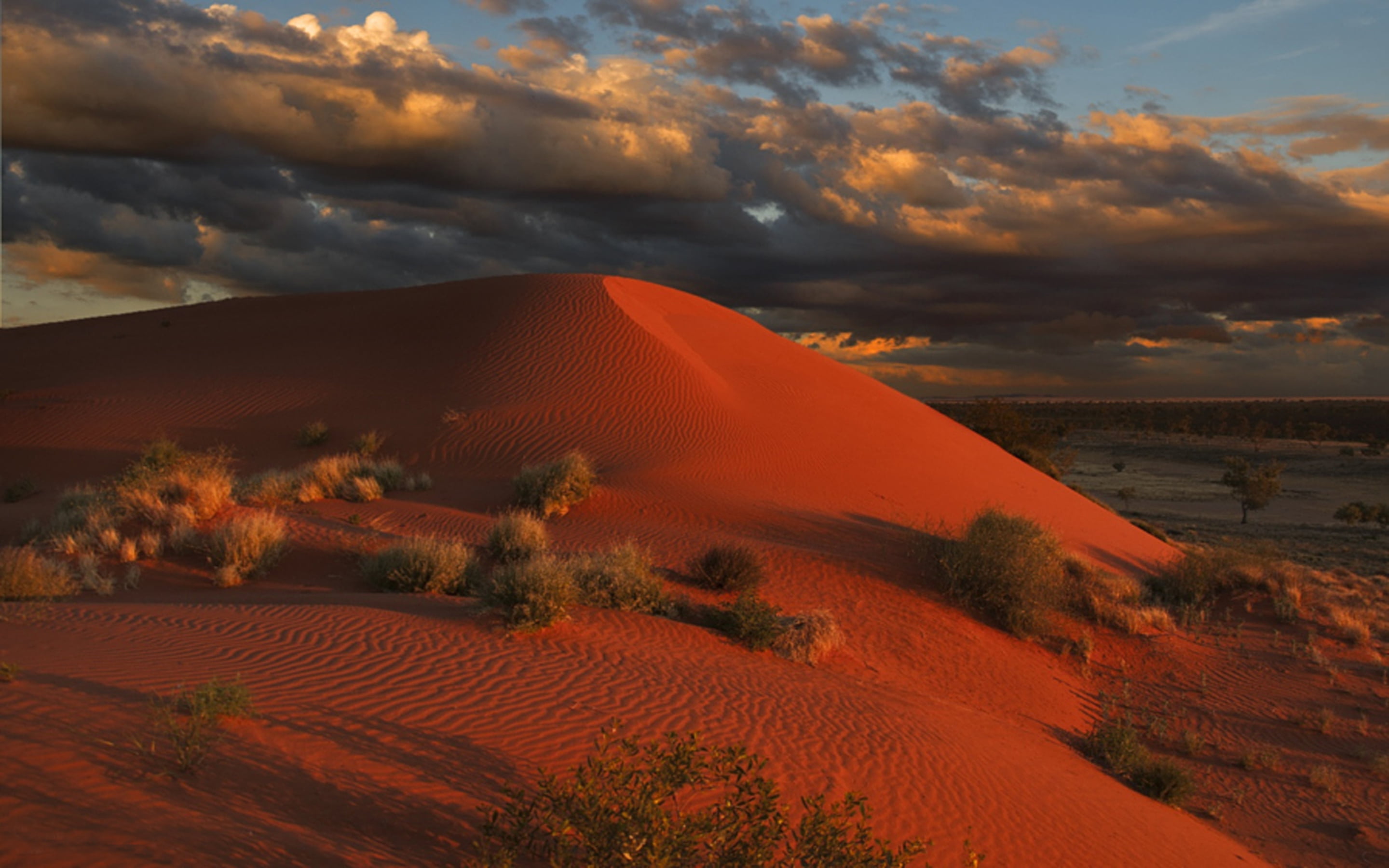 nature, geology, tranquility, south, central, sand dune, arid climate, orange color, australia, sandy, environment, cloud - sky, victoria, no people, scenics - nature, HD Wallpaper