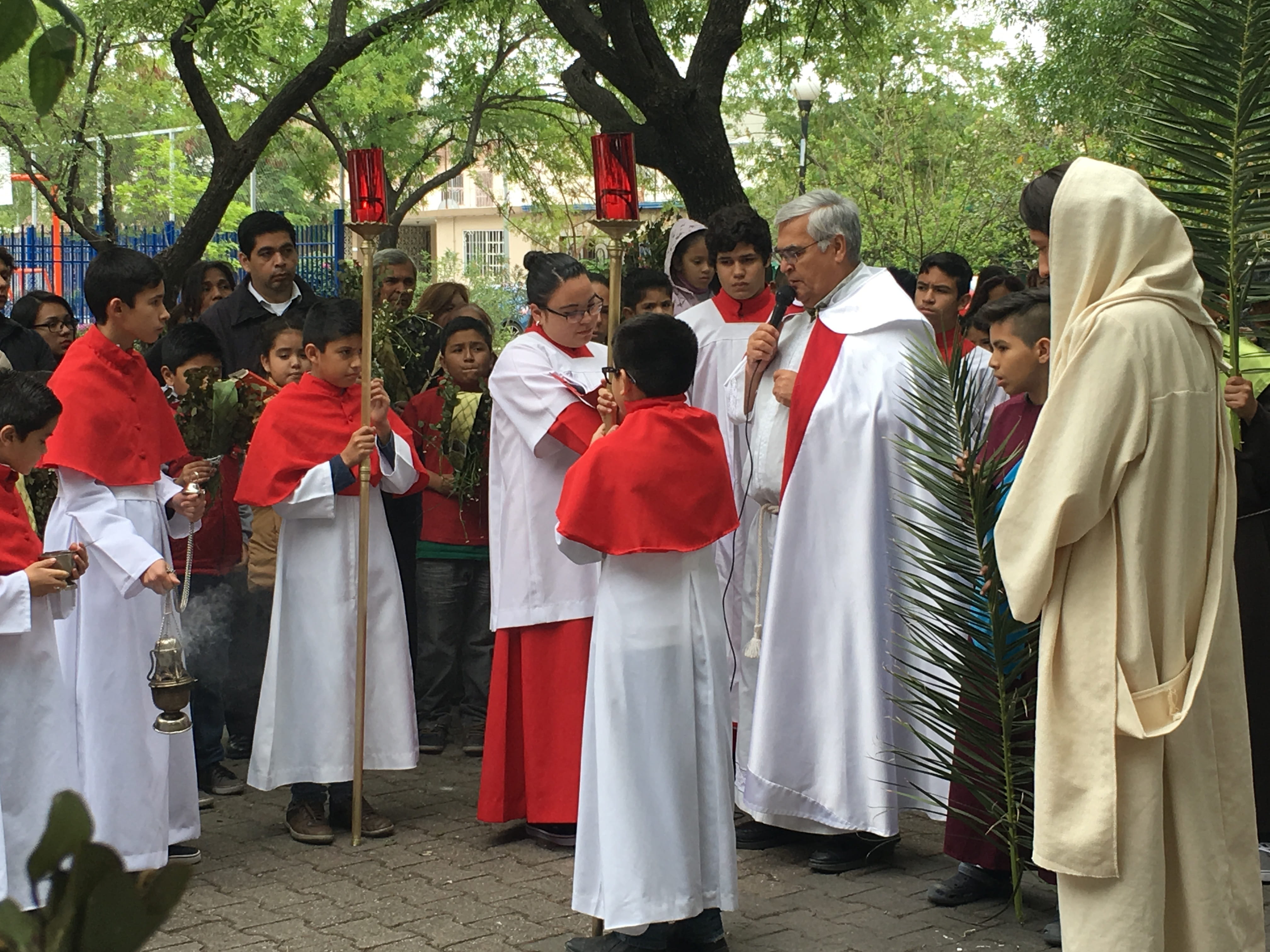 arts culture and entertainment, tree, plant, togetherness, religion, group of people, spirituality, palm sunday, large group of people, women, real people, HD Wallpaper