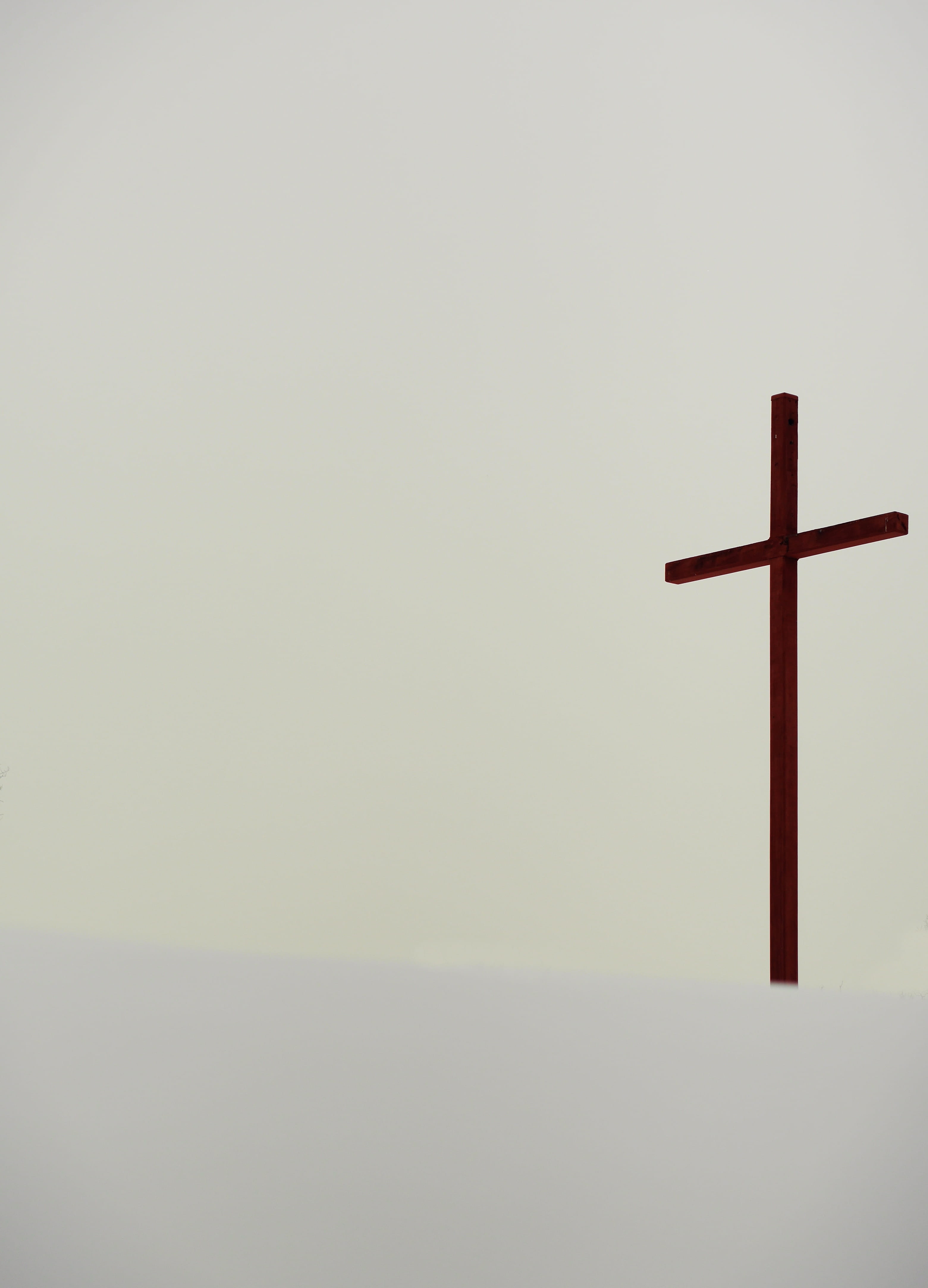 snow, symbol, building, still life, easter, belief, church, art and craft, winter, blossom, forgiveness, religious equipment, indoors, plant, backdrop, Phone HD Wallpaper
