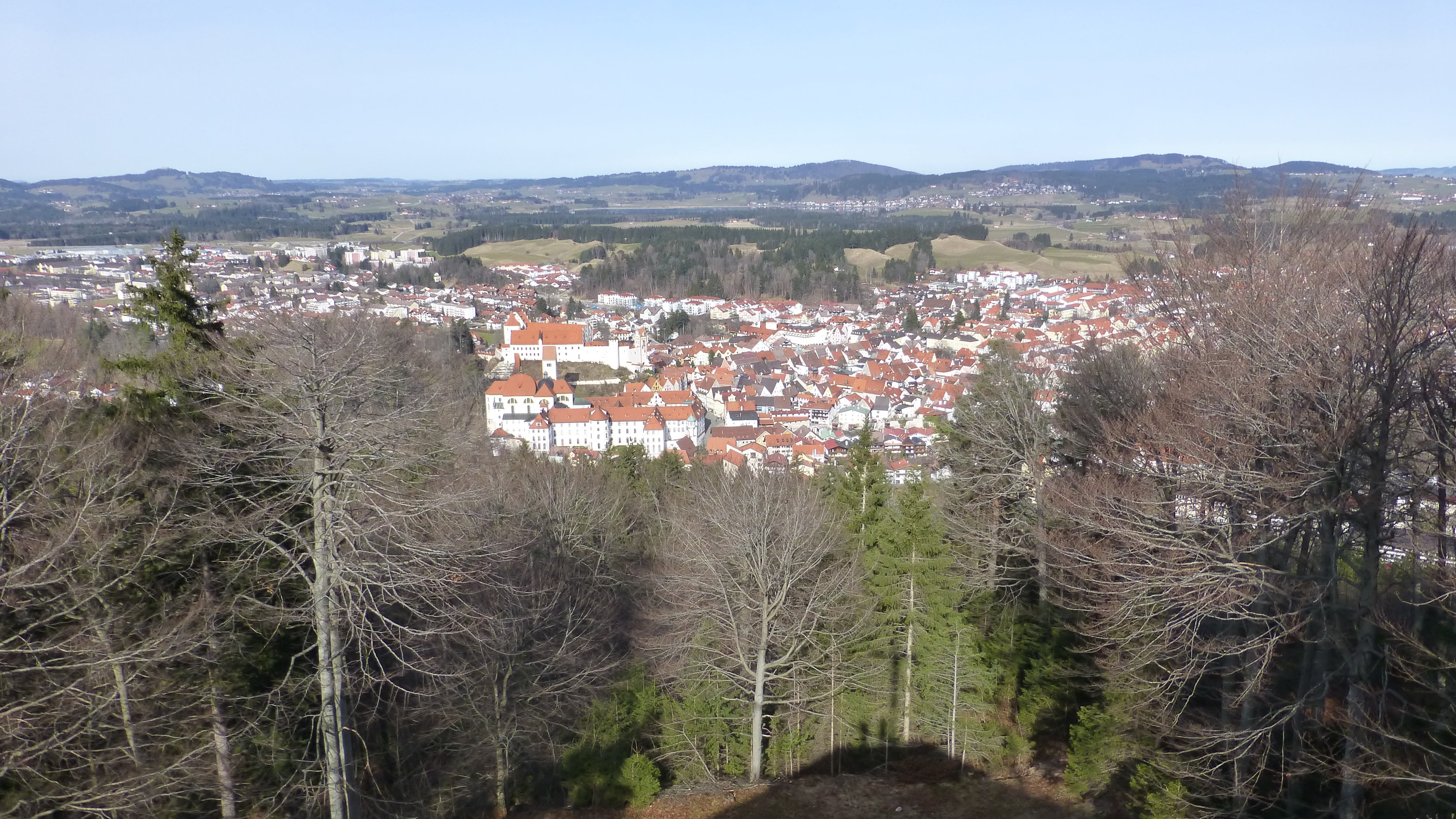 4K, architecture, of the calvary, residential district, day, built structure, environment, city, cityscape, nature, landscape, town, village, allgäu, pine tree, HD Wallpaper