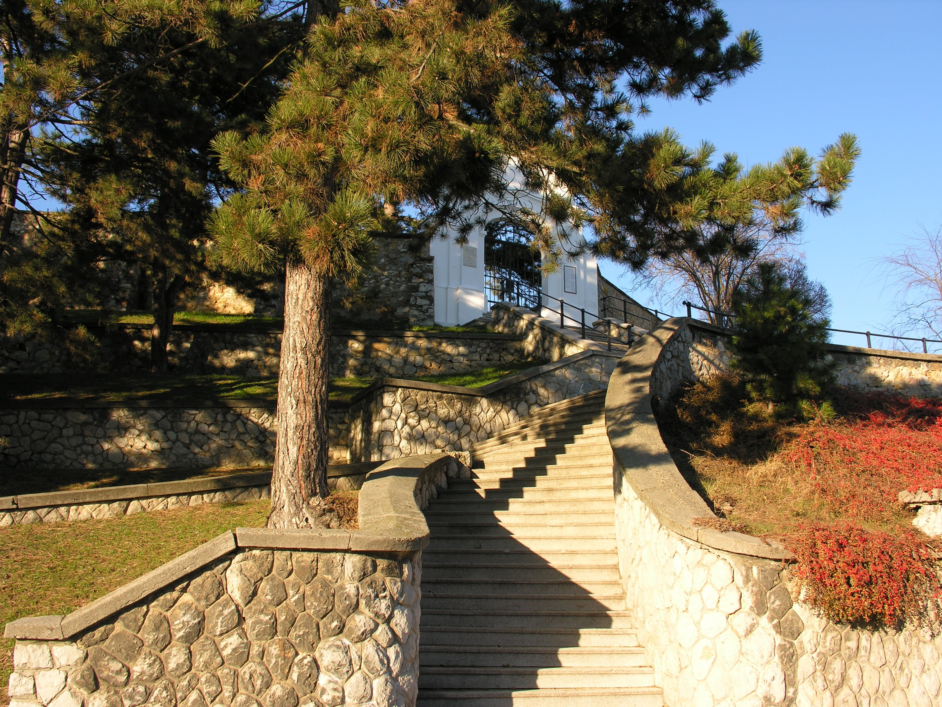 tree, sunlight, sky, calvary, outdoors, pécs, low angle view, built structure, 2K, architecture, connection, growth, sunny, the way forward, autumn, steps and staircases, HD Wallpaper