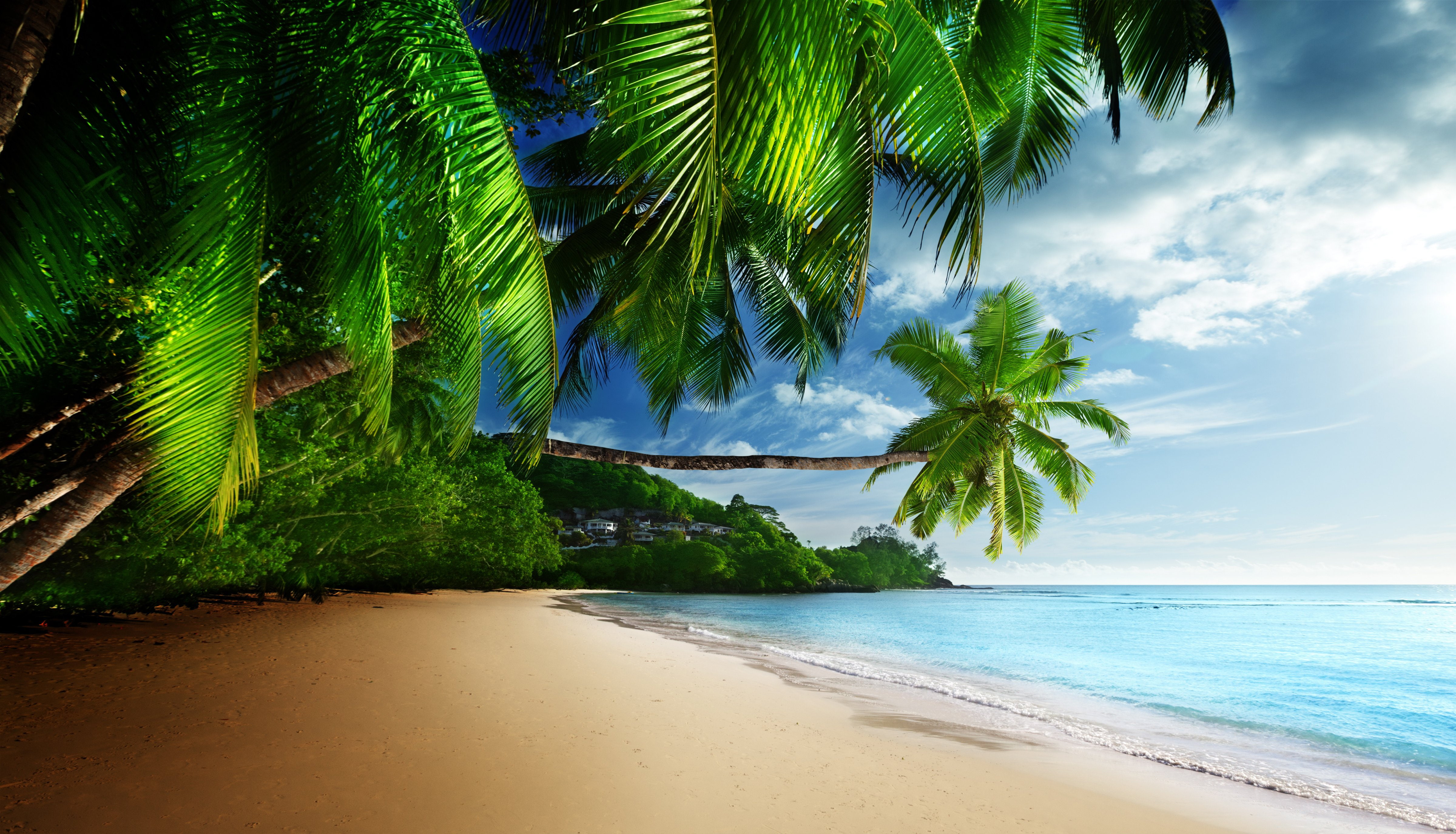 coast, beach, emerald, sea, paradise, 4K, tropical, sky, blue, sunshine, HD Wallpaper