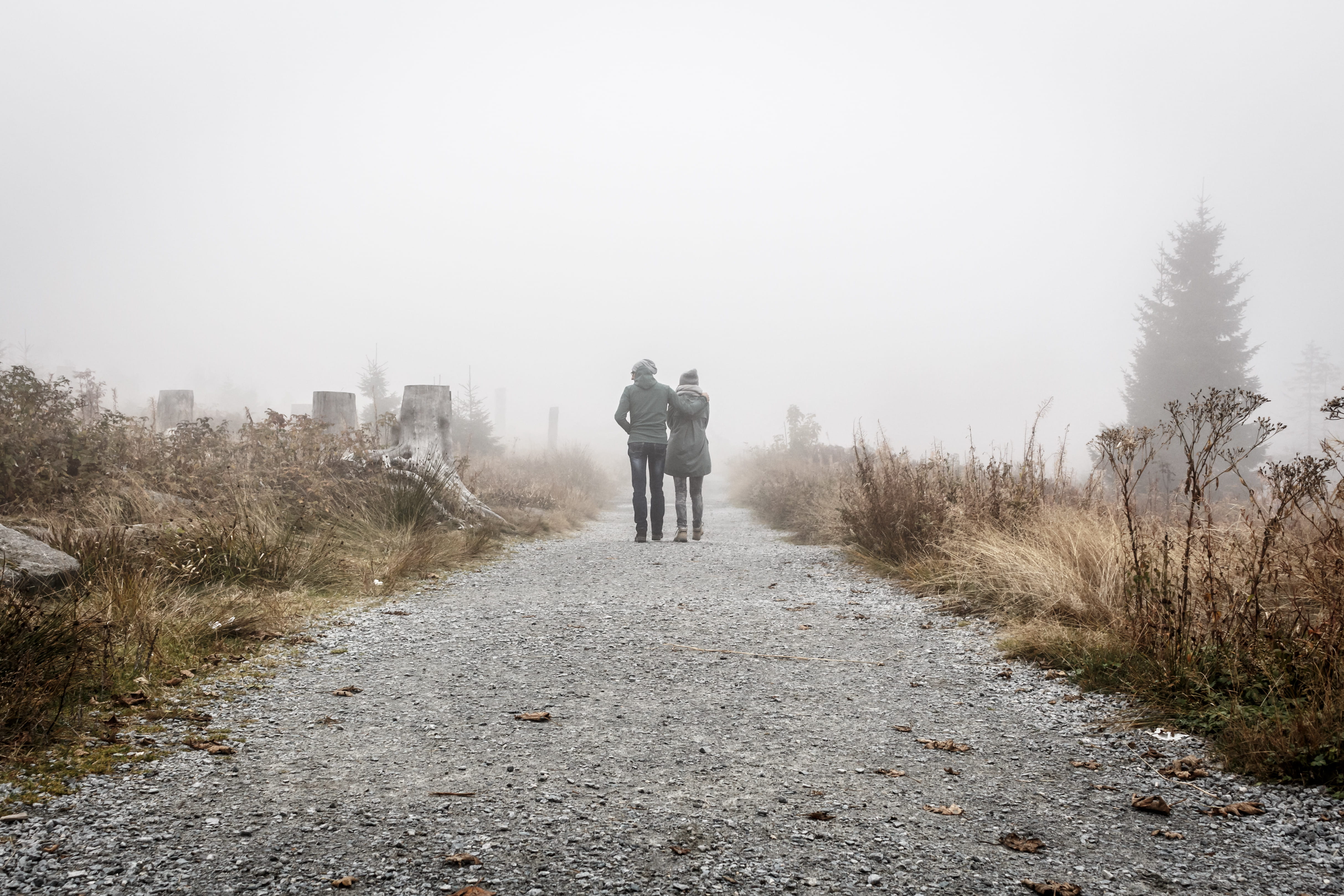 two People, transportation, day, tree, full length, rear view, walking, people, rural scene, walk, men, outdoors, direction, person, sky, plant, nature, HD Wallpaper