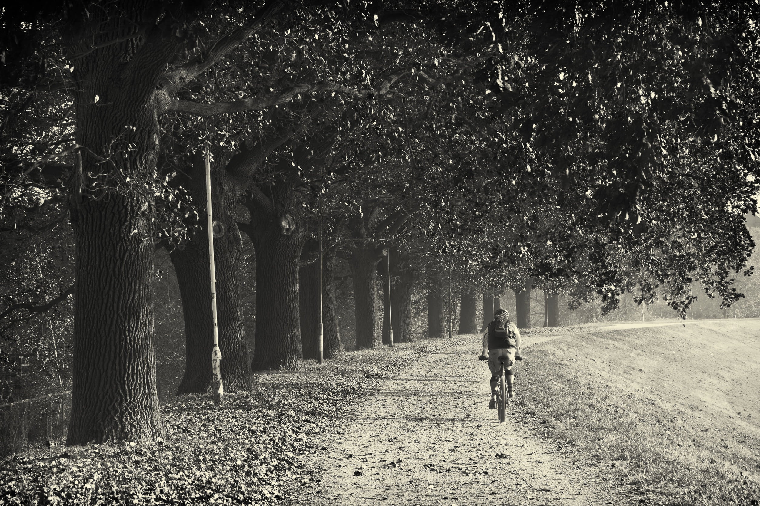 transportation, real people, lifestyles, direction, trial, cyclist, grass, biker, black and white, near, leisure activity, bike, one woman only, outdoors, HD Wallpaper