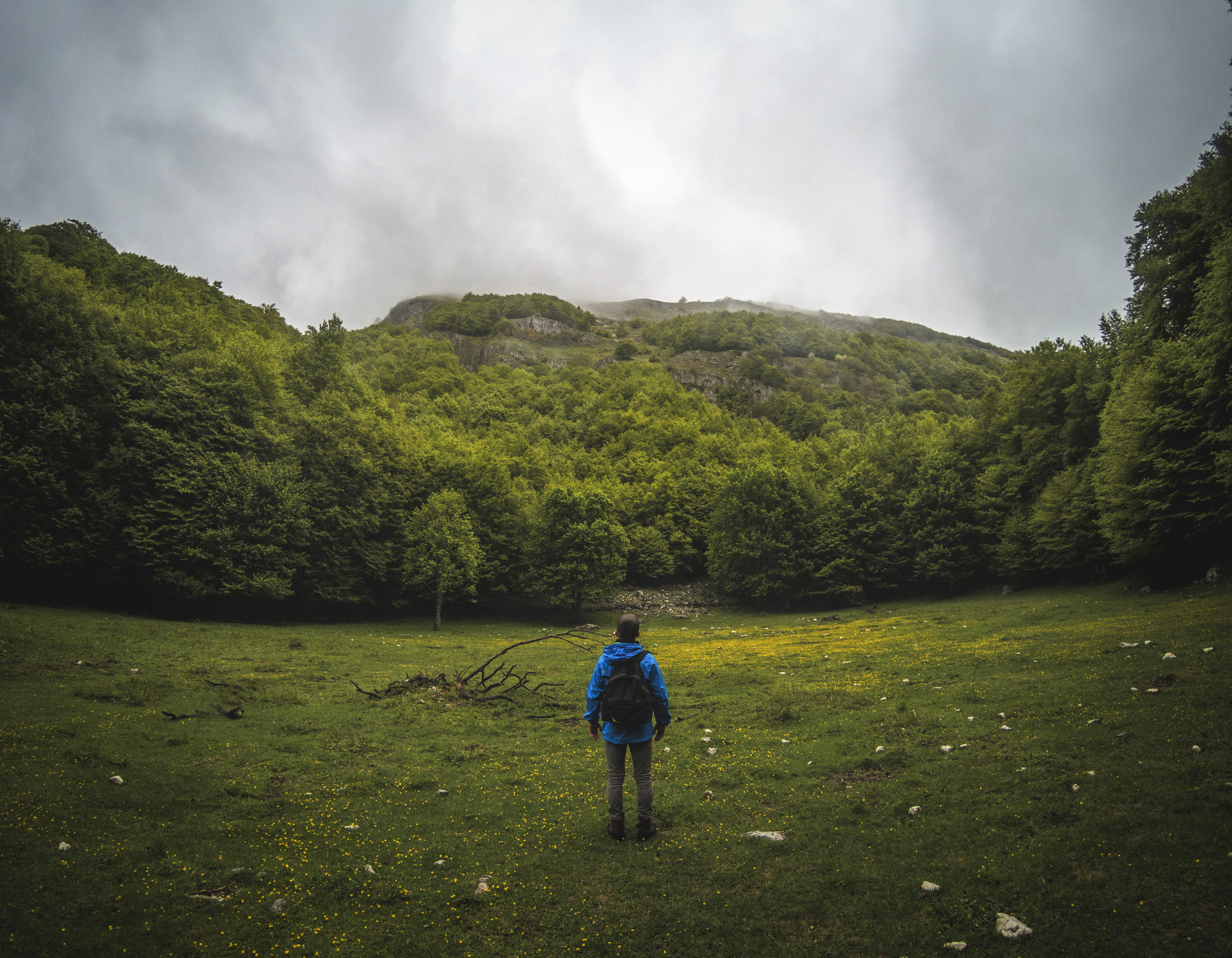 front, nature, Lost, panoramic, trees, plant, tranquility, green color, growth, leisure activity, hiking, person, jacket, 4K, non-urban scene, blue, land, HD Wallpaper