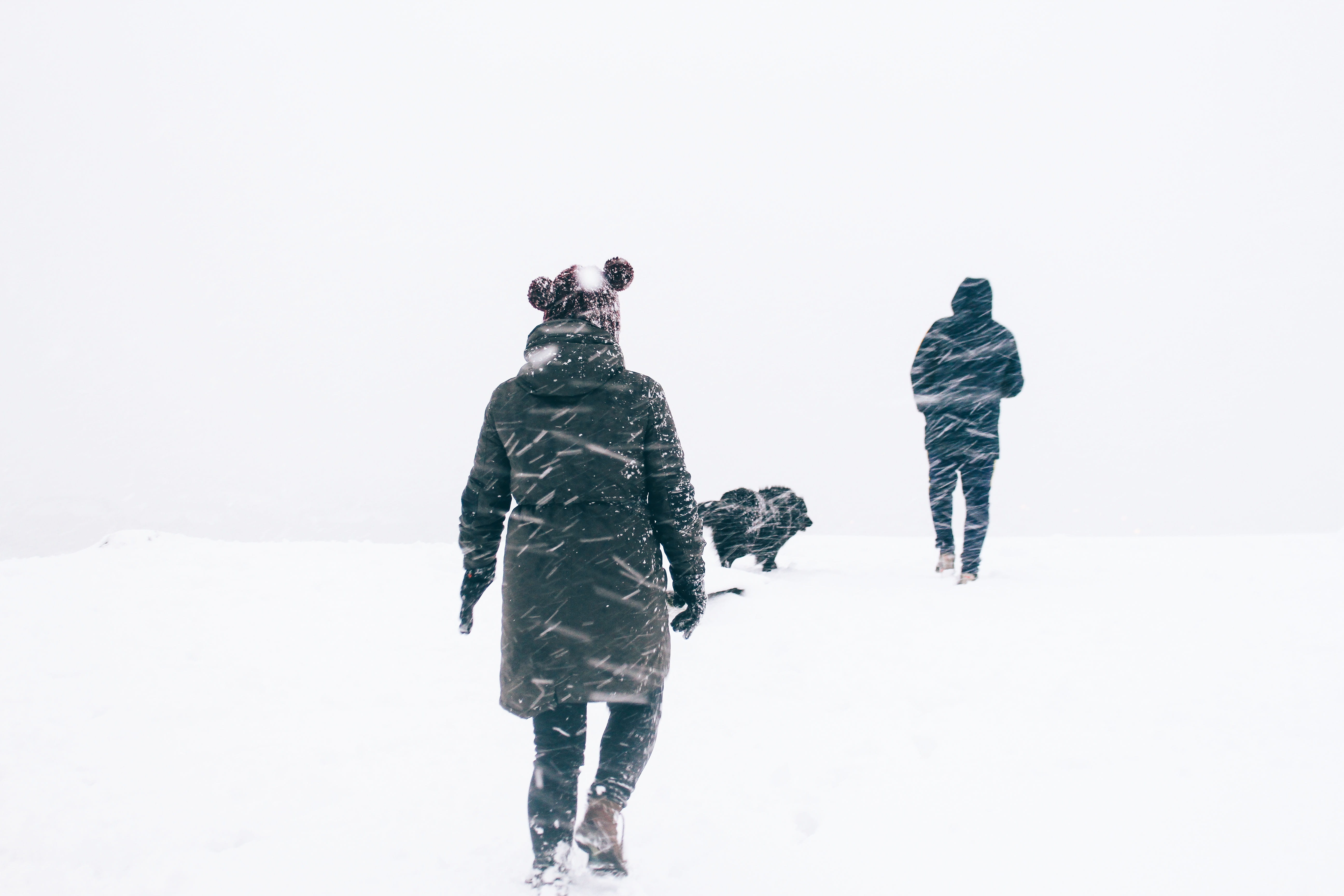 5K, warm clothing, color Image, real people, army, armed Forces, full length, jacket, clothing, adult, outdoors, snow, nature, weather, leisure activity, HD Wallpaper