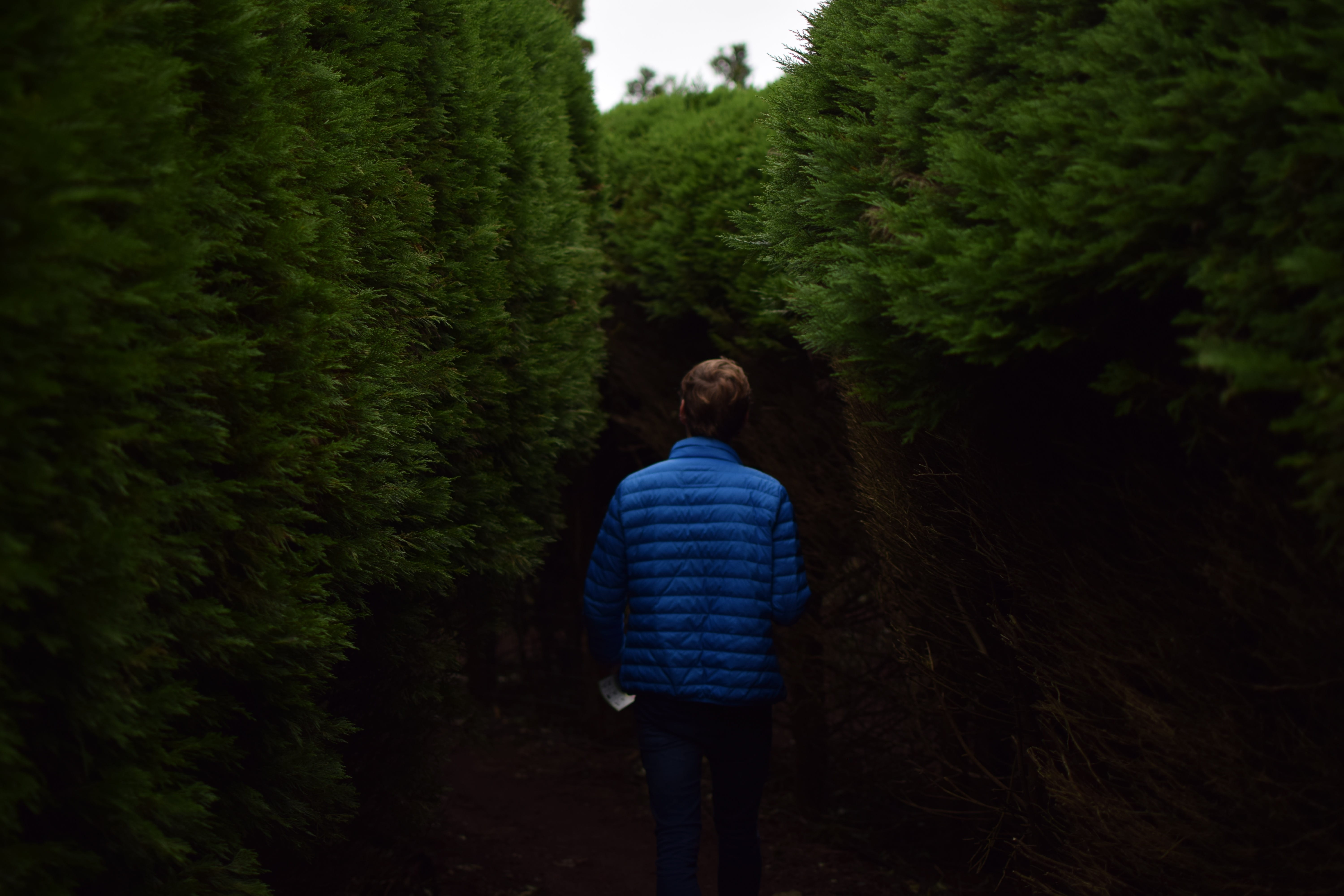 plant, image Technique, moving Activity, pathway, person, heterosexual Couple, adults Only, three quarter length, people, viewpoint, guy, standing, leisure activity, HD Wallpaper