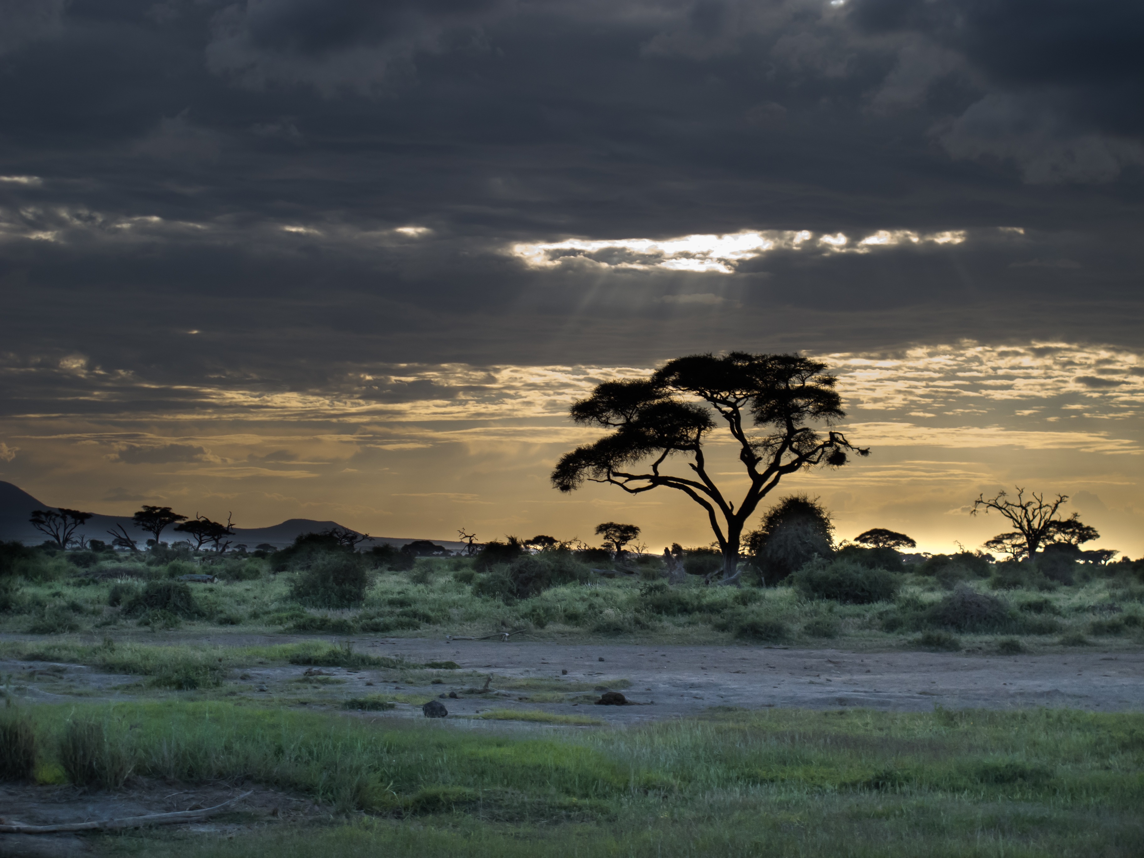 clouds, tranquility, kenya, still life, environment, beauty in nature, idyll, orange, trees, 2K, afterglow, land, scenics, scenics - nature, white, safari, HD Wallpaper