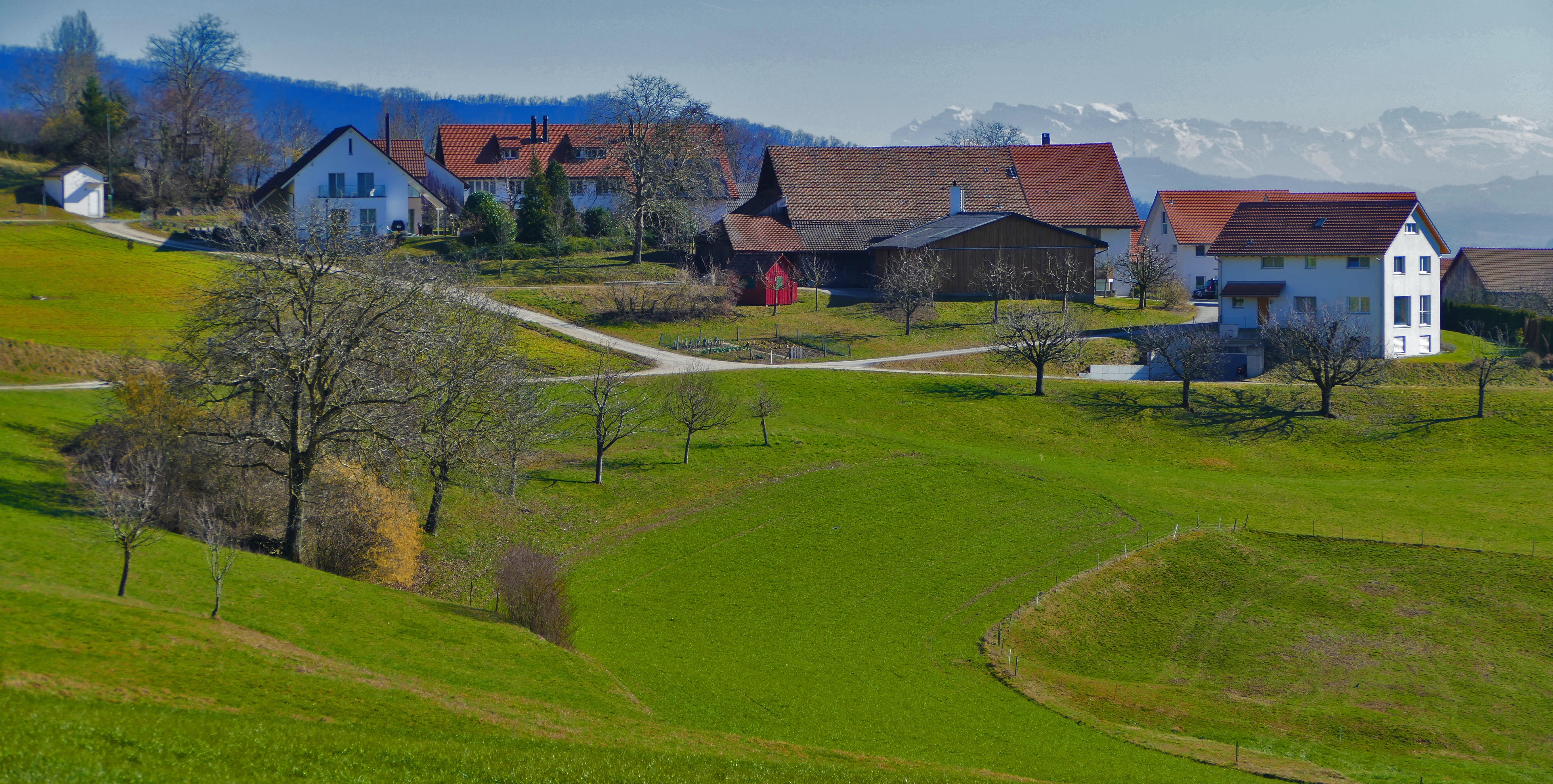 green, green color, houses, switzerland, plant, sun, sky, trees, tree, barn, residential district, fence, shadow, hamlet, nature, reported, summit, snow, HD Wallpaper