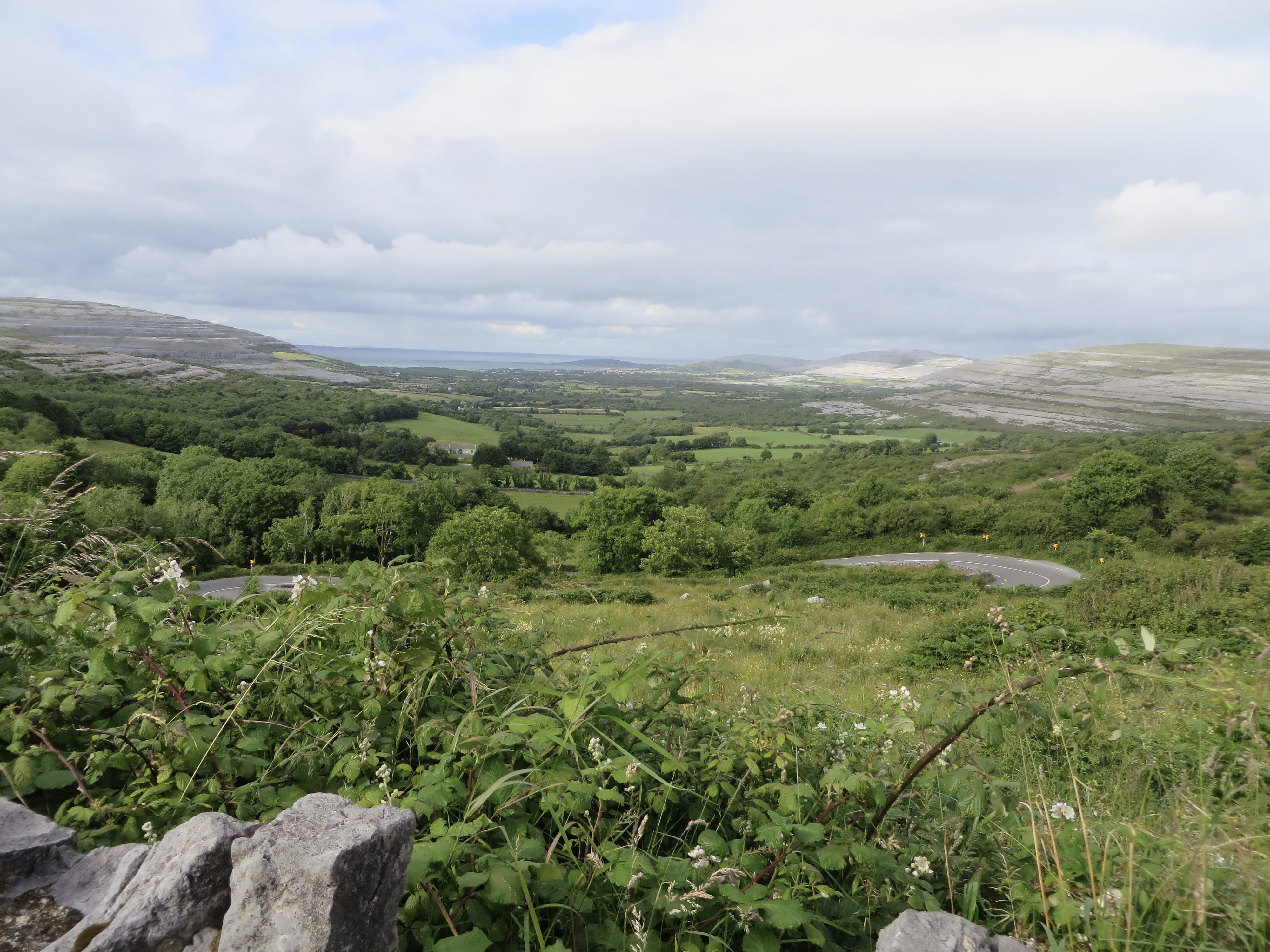 county clare, green color, no people, tree, trees, tranquility, day, growth, scenics - nature, landscape, outdoors, land, non-urban scene, nature, environment, HD Wallpaper