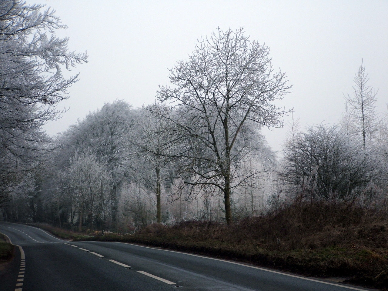 fog, hd, cotswold, art, england, frost, 720P, road, MIST, nature, HD Wallpaper