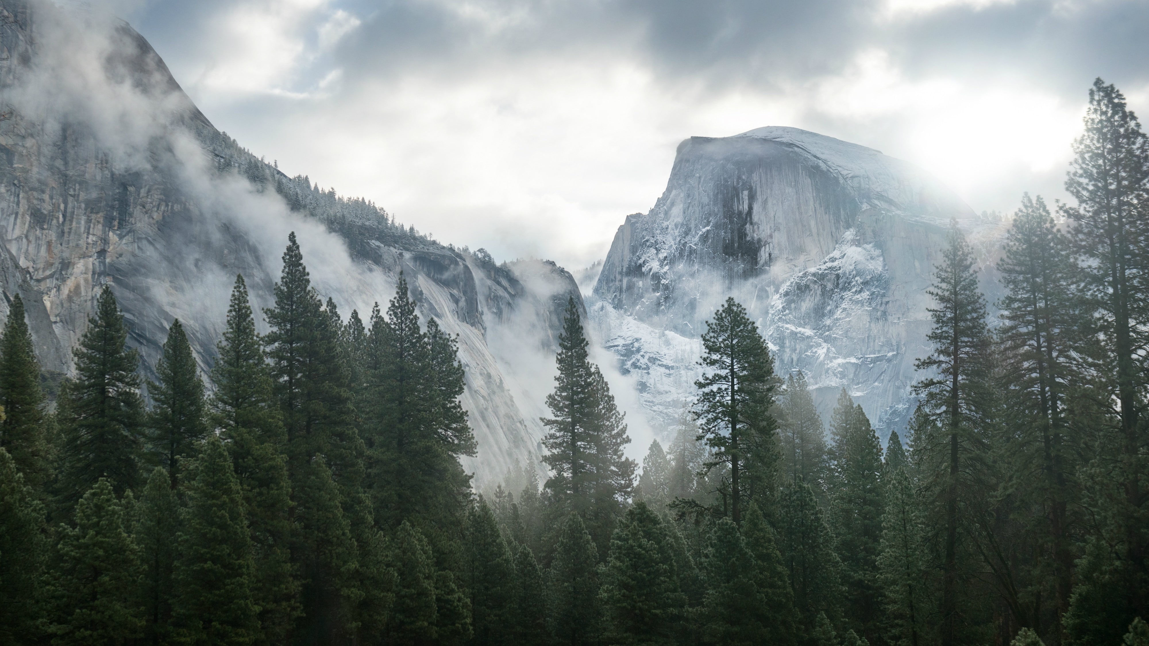 mountains, trees, nature, mist, Yosemite National Park, 4K, HD Wallpaper