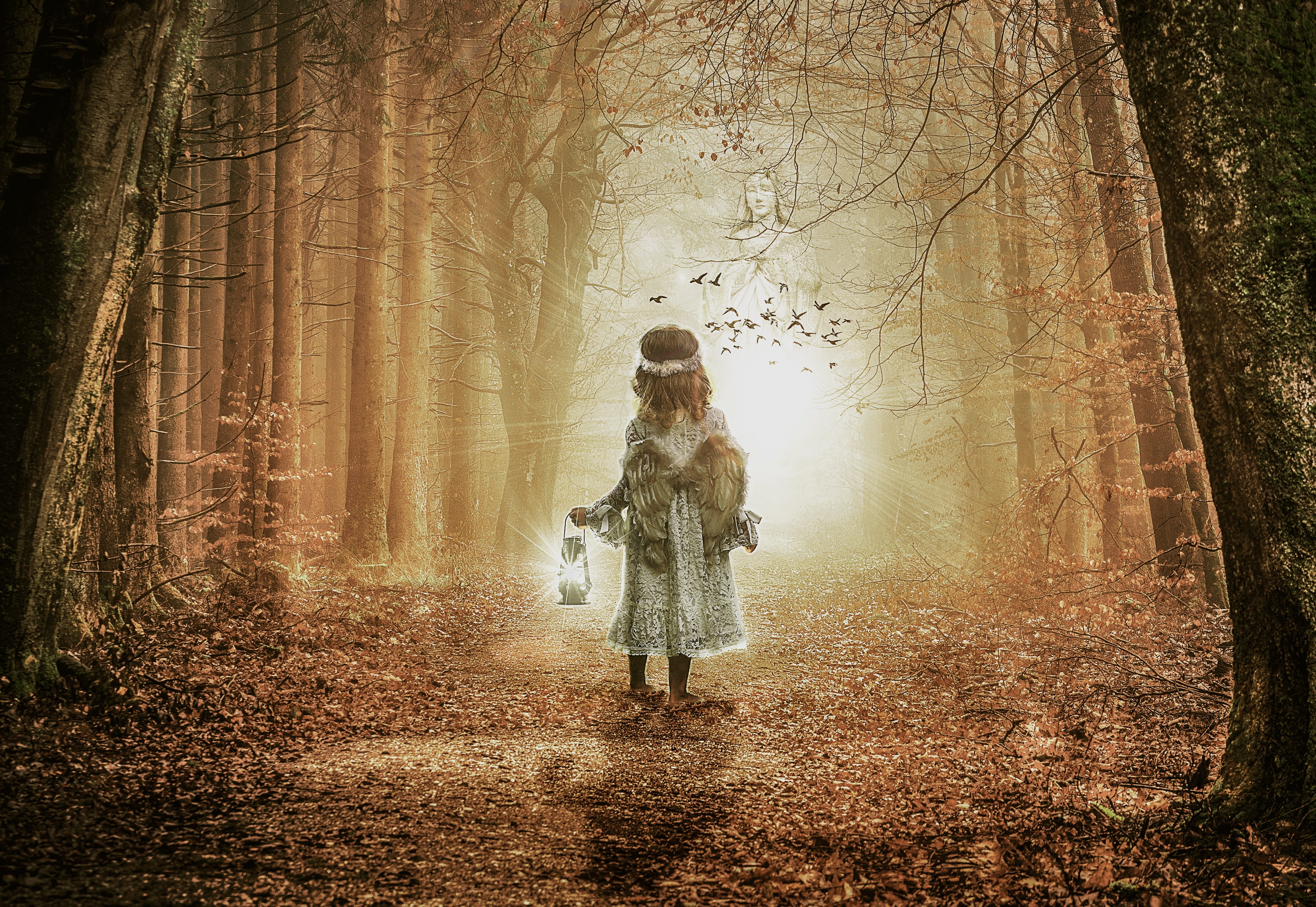 fairy, dreamy, standing, dark, leaves, wood, magical, landscape, female, direction, angel, nature, digital composite, leaf, woodland, walking, tree, mystery, HD Wallpaper