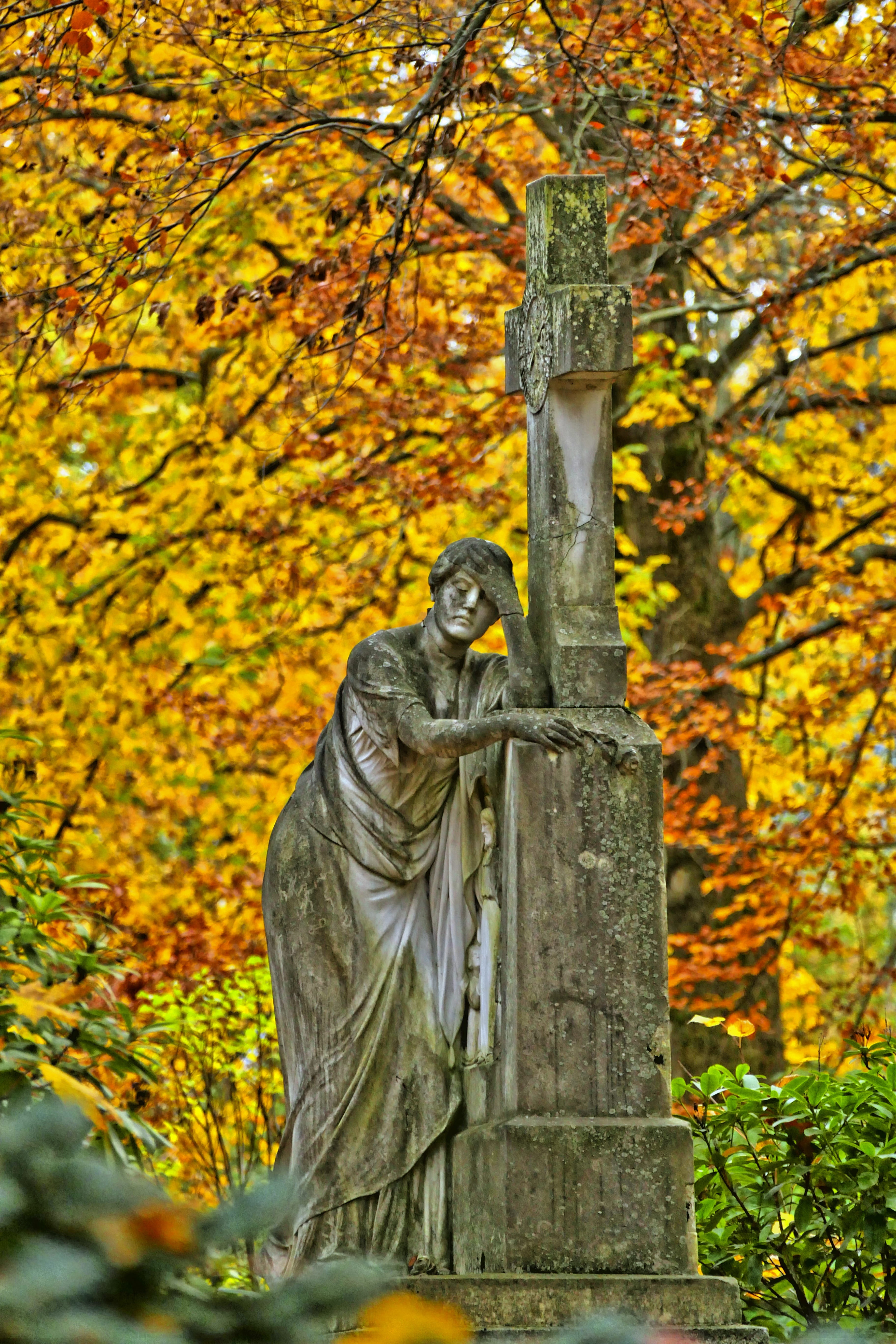 plant part, plant, animal wildlife, loneliness, sculpture, mourning, outdoors, nature, angel, emerge, cemetery, day, no people, autumn, goslar cemetery, Phone HD Wallpaper