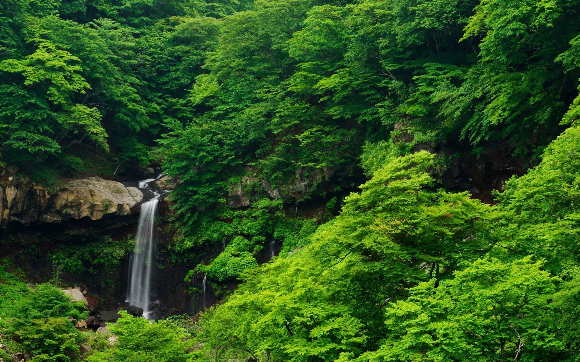 green color, plant, leafed, green, scenics - nature, water, non-urban scene, flowing, land, long exposure, trees, motion, outdoors, waterfall, fall, no people, HD Wallpaper