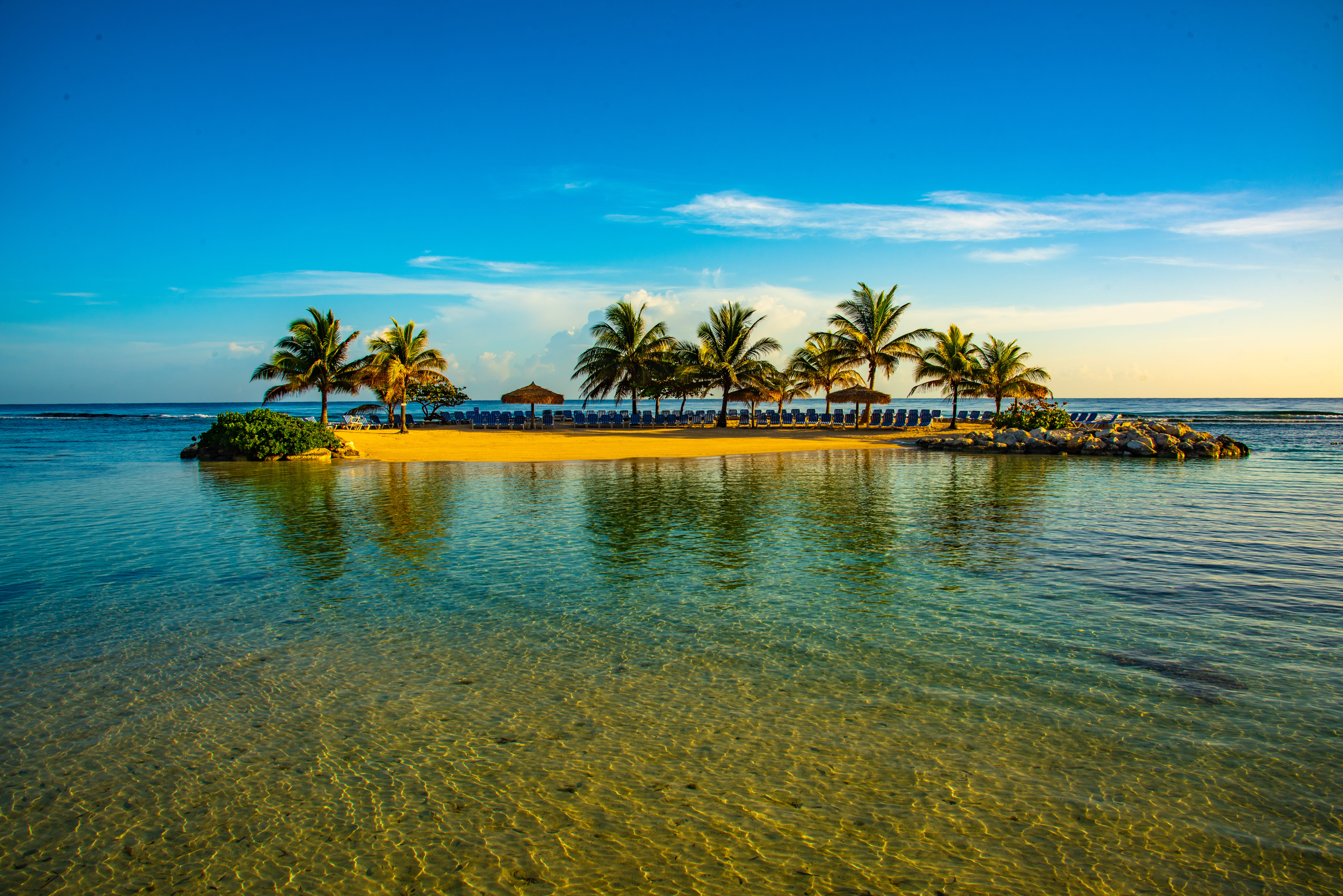 coconut palm tree, sea, land, no people, tree, man made island, jamaica, tropical climate, plant, 5K, nature, montego bay, tranquil scene, waterfront, HD Wallpaper