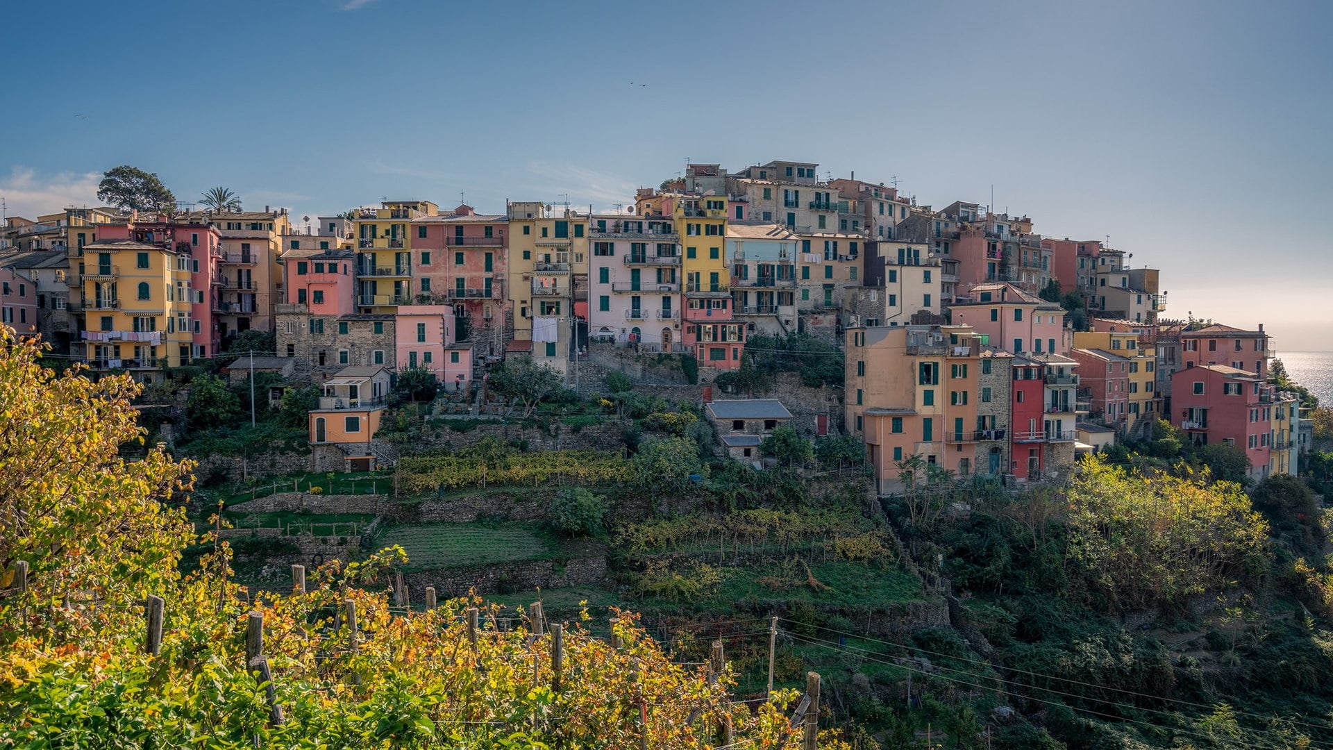 multi colored, cityscape, sky, clear sky, no people, house, outdoors, hill, tree, land, travel destinations, town, day, building exterior, hilltop, corniglia, HD Wallpaper