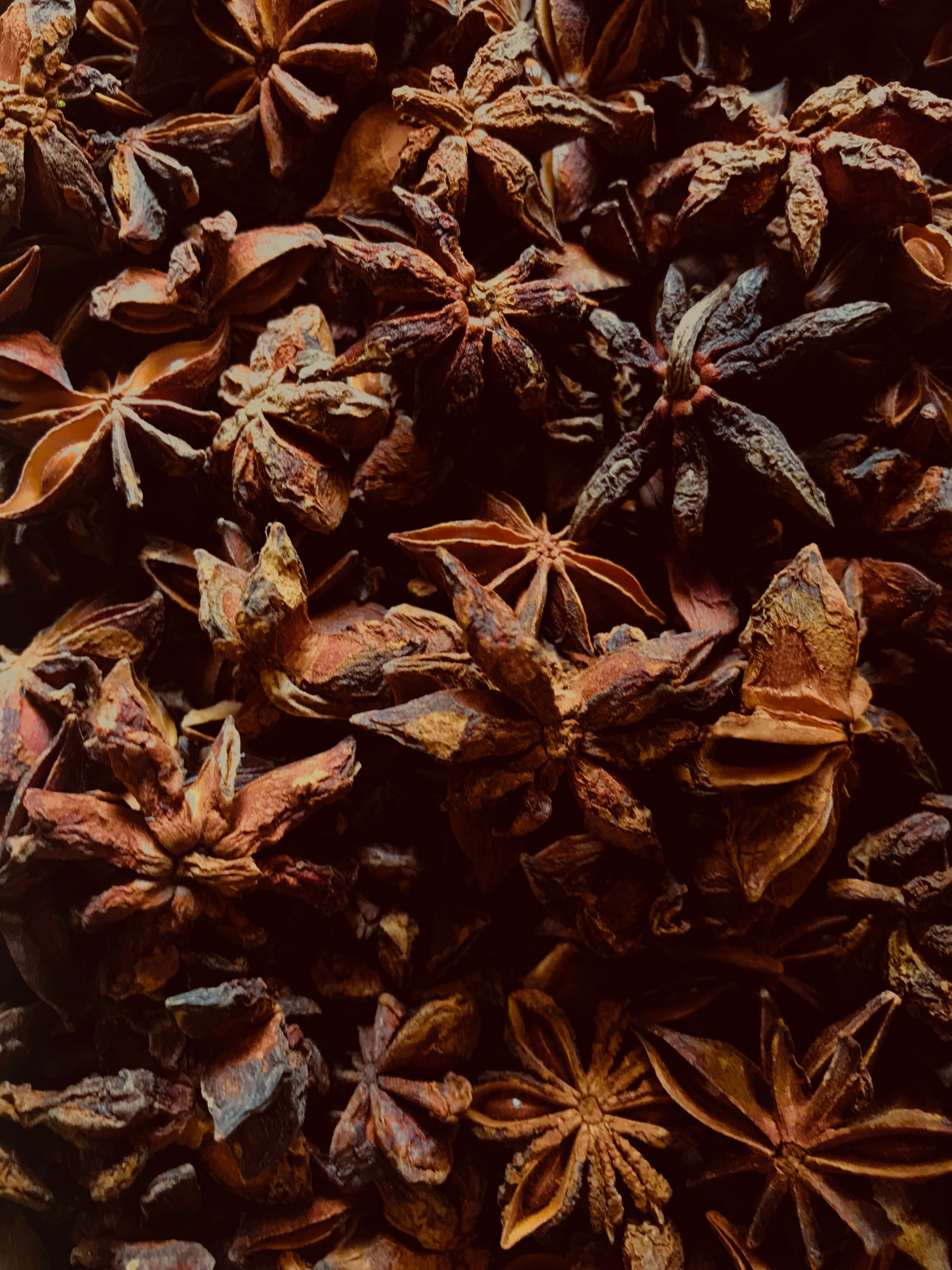 coffee, dry, brown, food, wilted plant, abundance, day, full frame, high angle view, no people, anise, plant, 4K, nature, cinnamon, spezia, advent, decoration, Phone HD Wallpaper